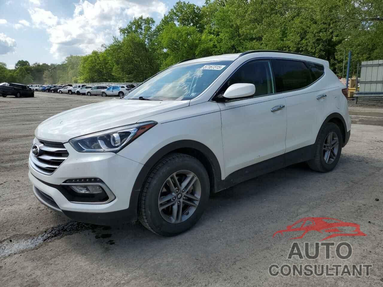 HYUNDAI SANTA FE 2017 - 5XYZUDLB7HG388382