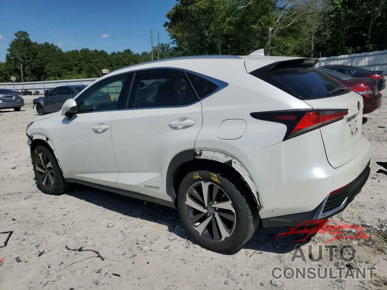 LEXUS NX 2019 - JTJBJRBZ9K2096740