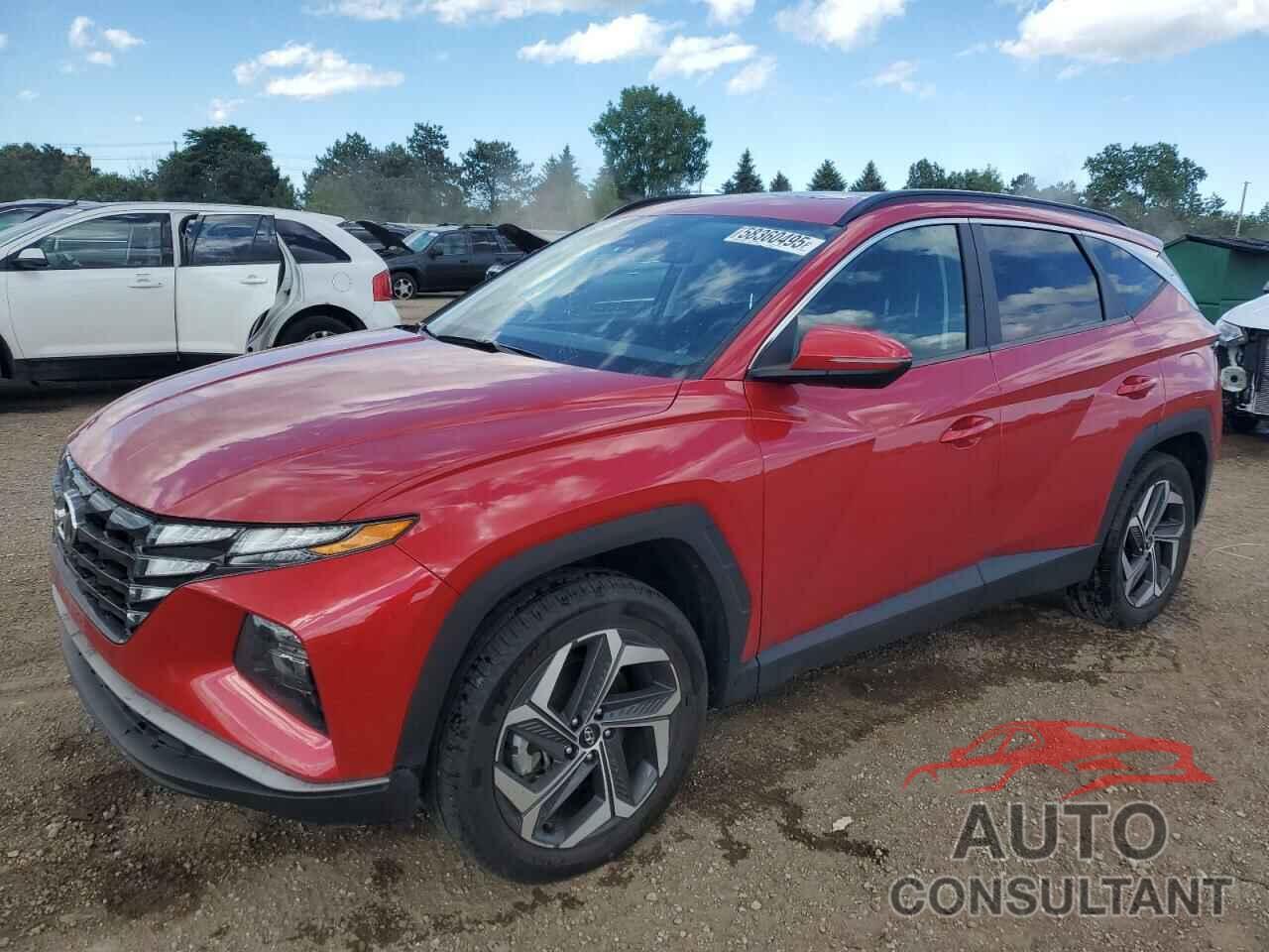 HYUNDAI TUCSON 2022 - 5NMJFCAEXNH012405