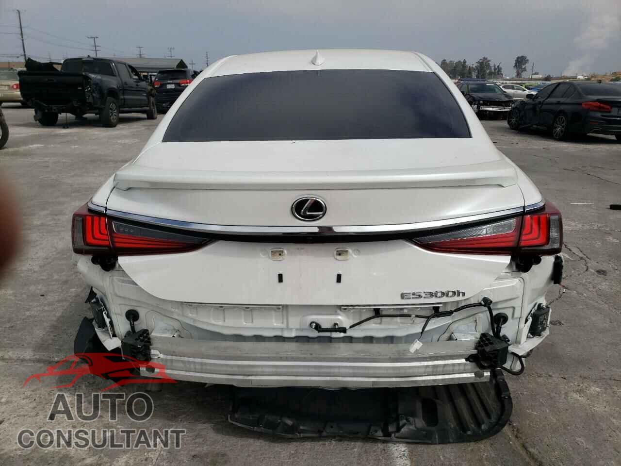 LEXUS ES300 2024 - 58ADA1C19RU041942