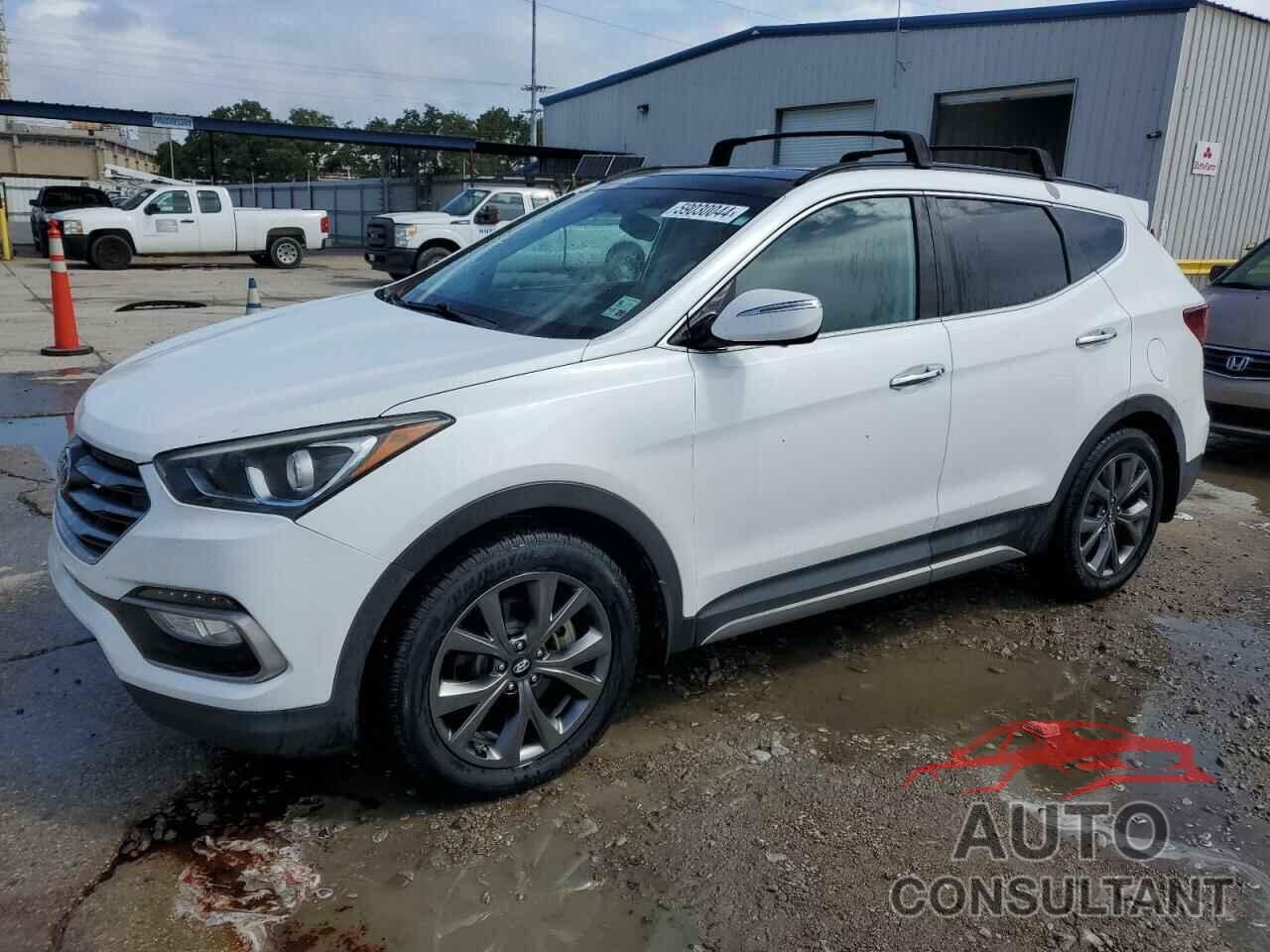 HYUNDAI SANTA FE 2017 - 5NMZW4LAXHH045539