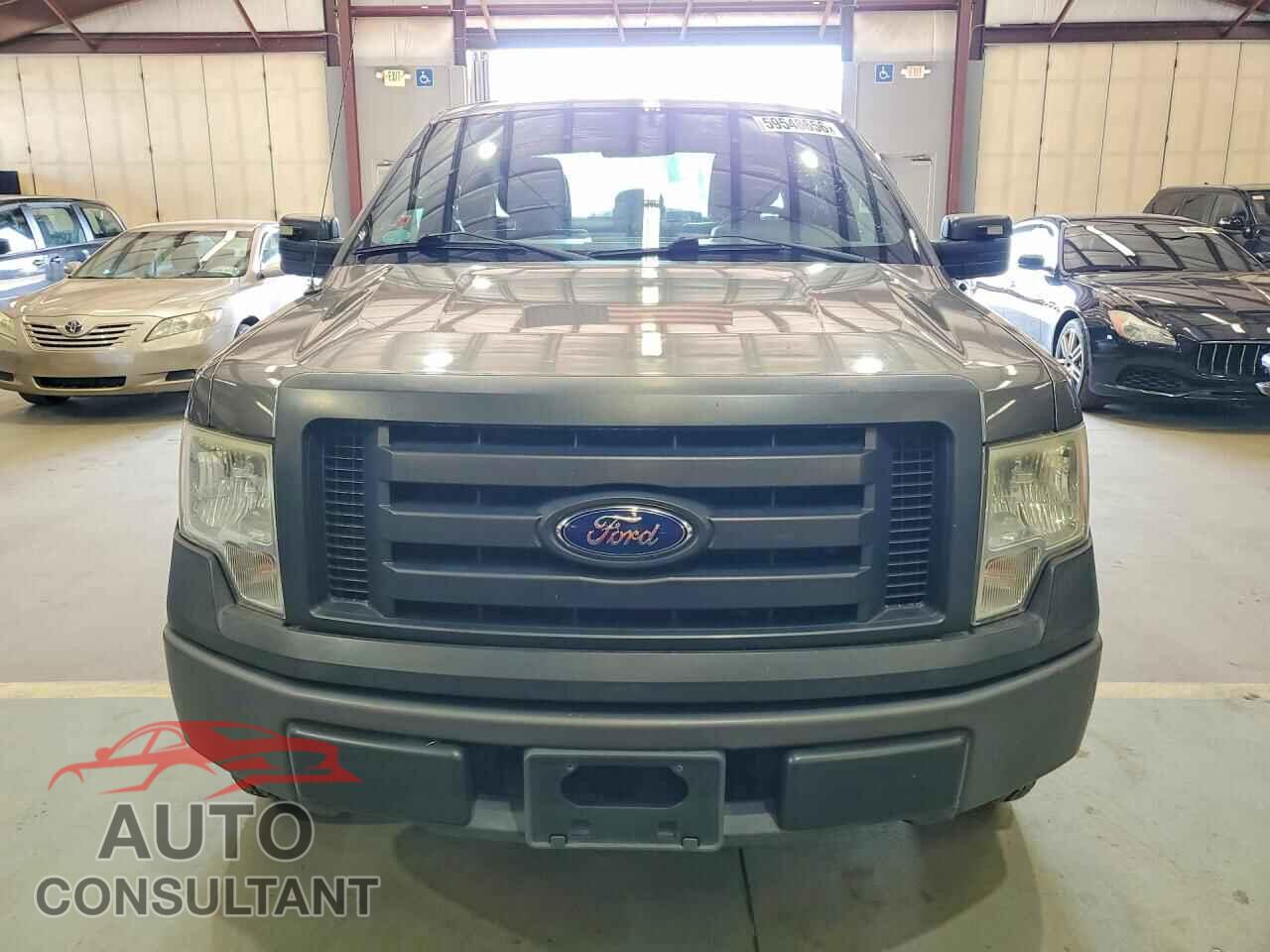 FORD F150 2011 - 1FTFX1EF1BFB46819
