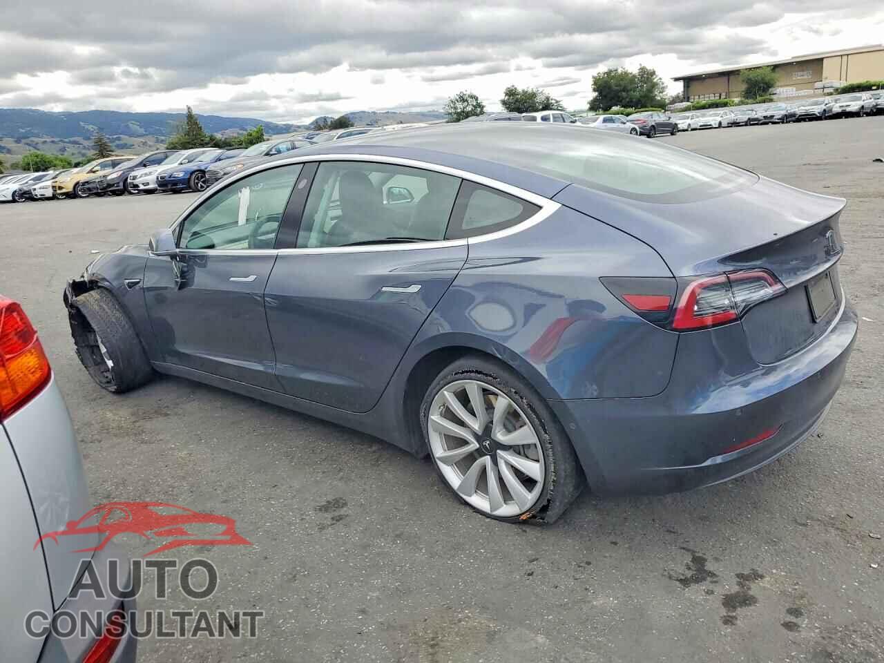 TESLA MODEL 3 2019 - 5YJ3E1EA3KF475961