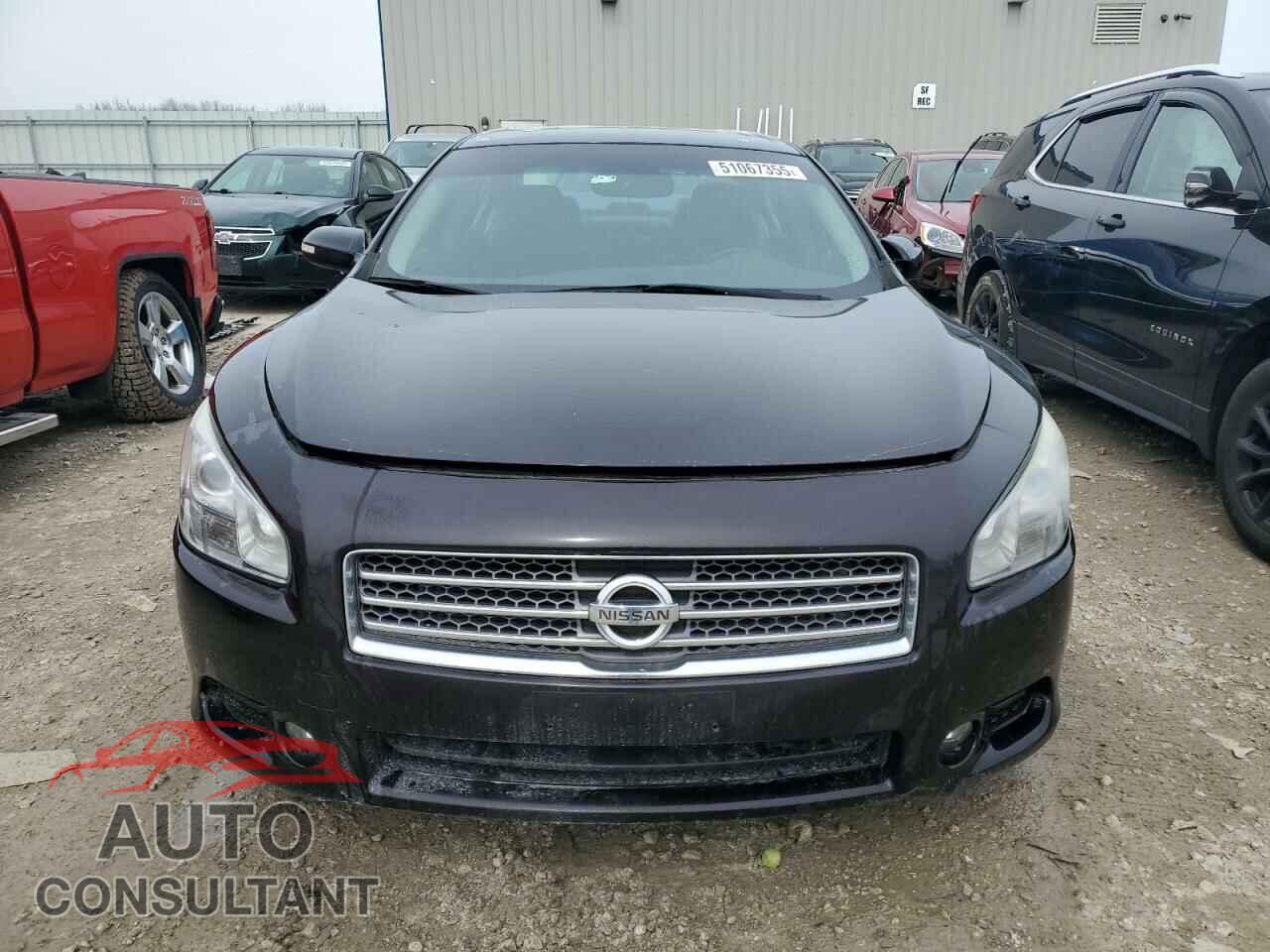 NISSAN MAXIMA 2011 - 1N4AA5AP1BC826518