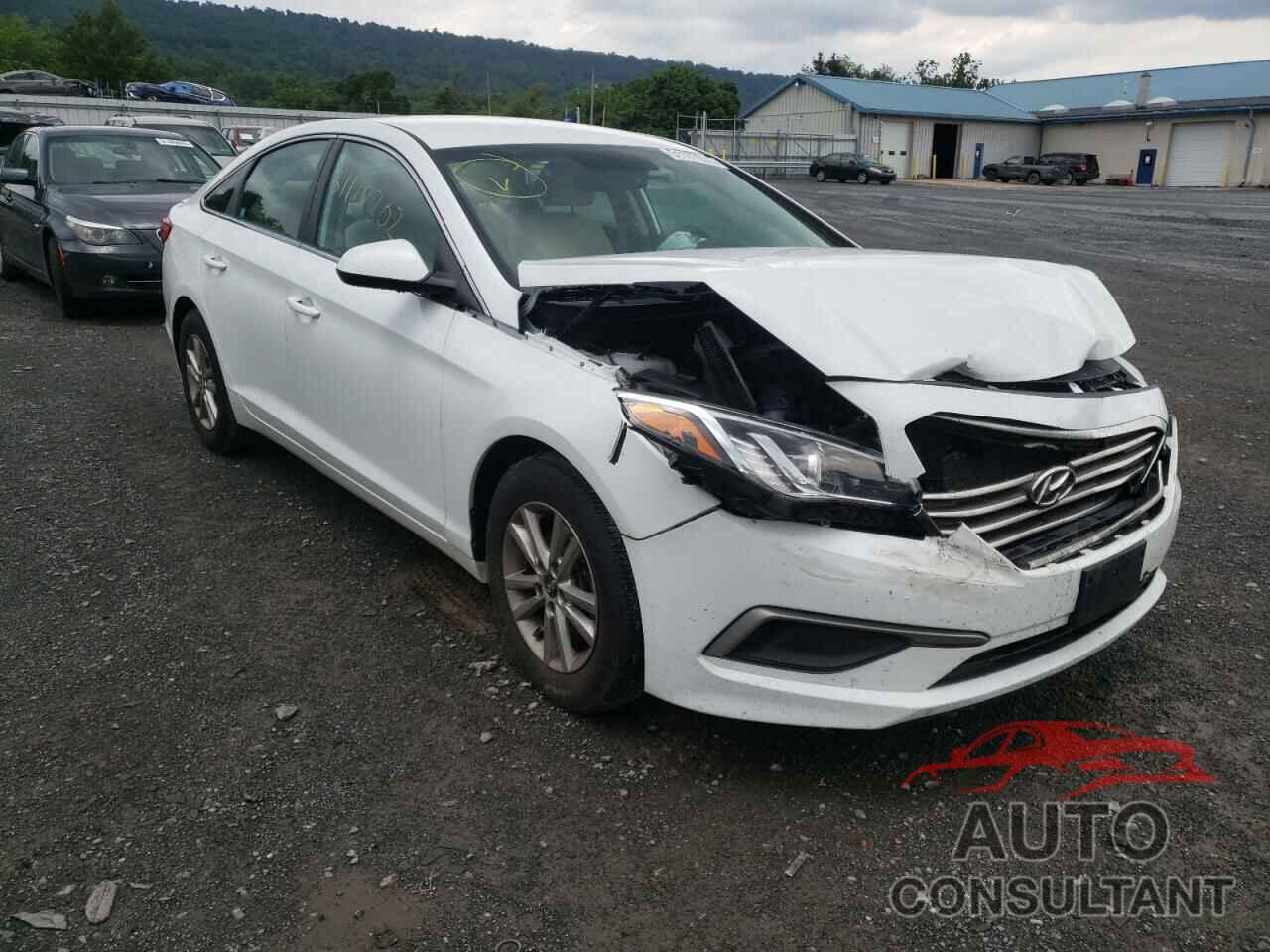 HYUNDAI SONATA 2017 - 5NPE24AF6HH536315