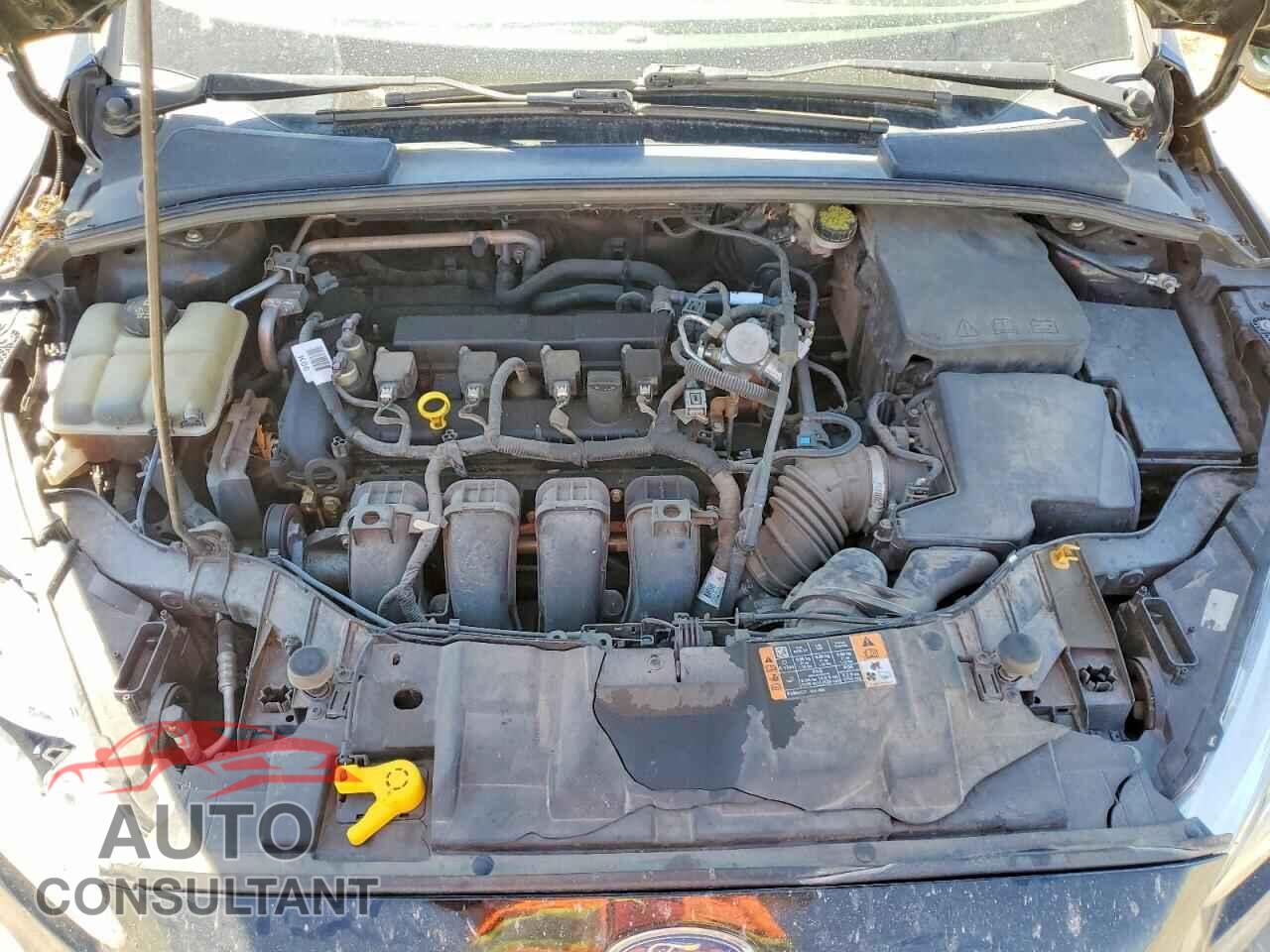 FORD FOCUS 2016 - 1FADP3F22GL379427