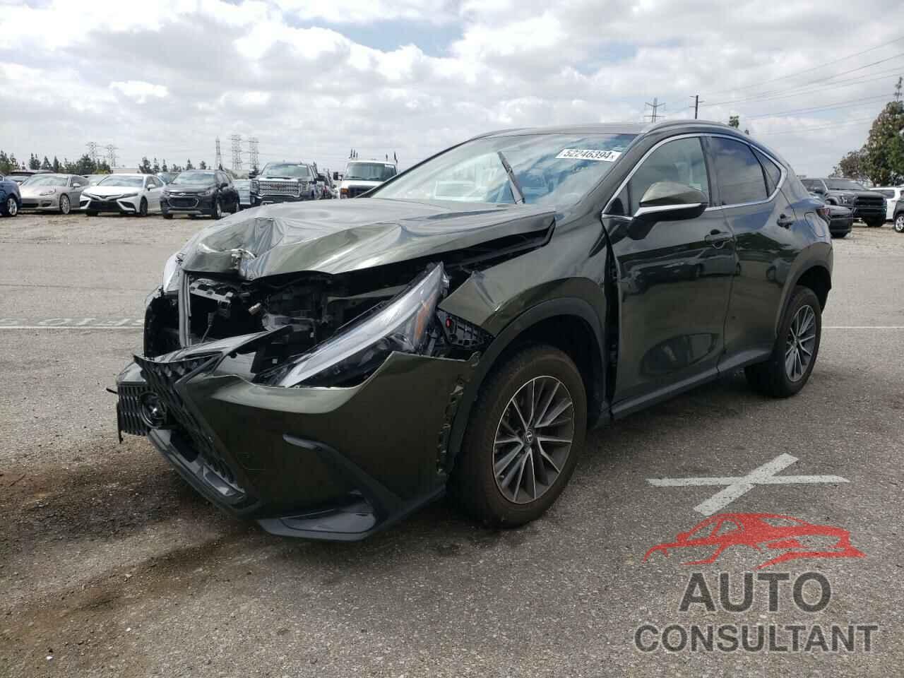 LEXUS NX 350 2022 - 2T2AGCEZ8NC012849