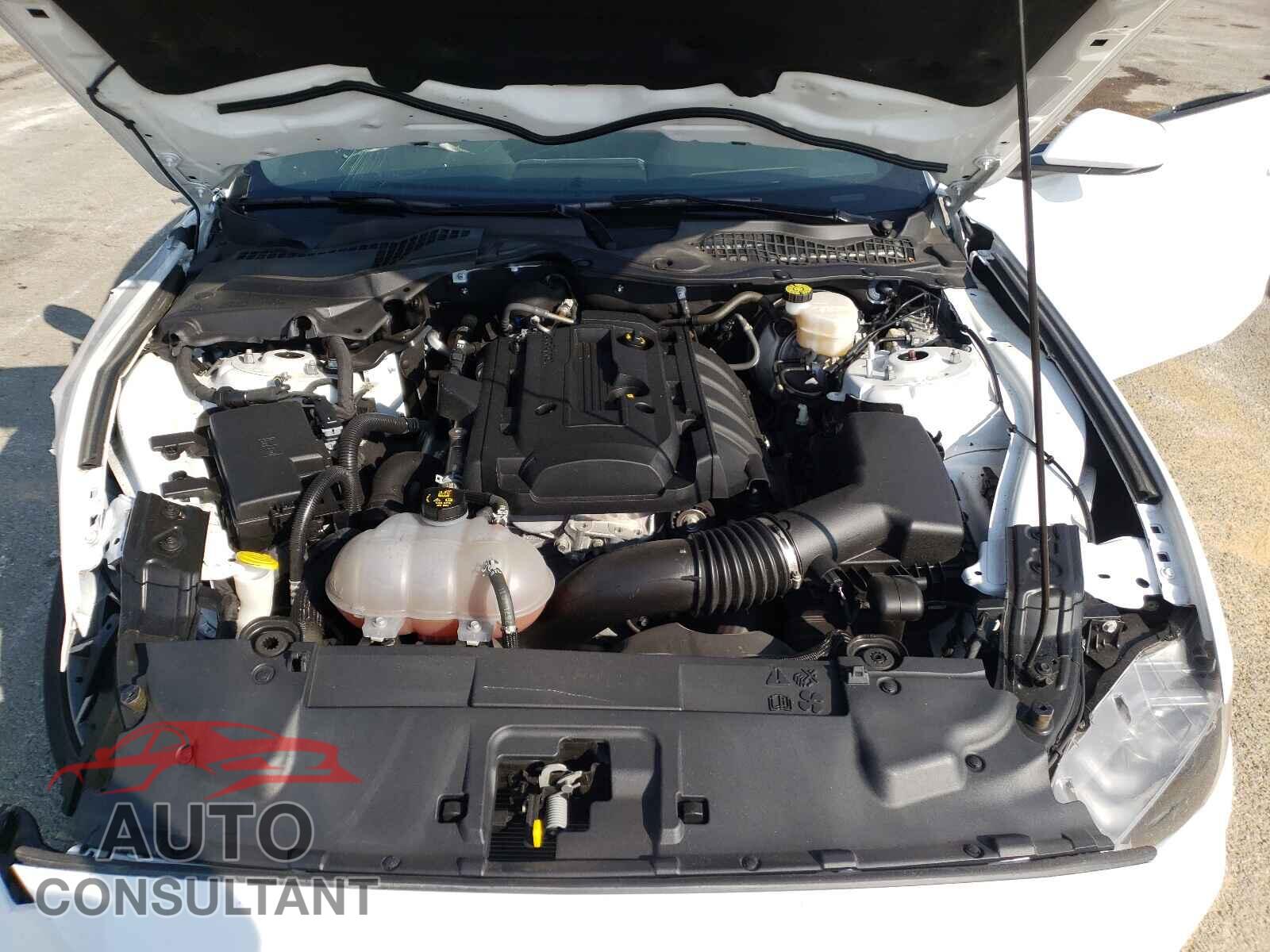 FORD MUSTANG 2019 - 1FA6P8TH3K5117749