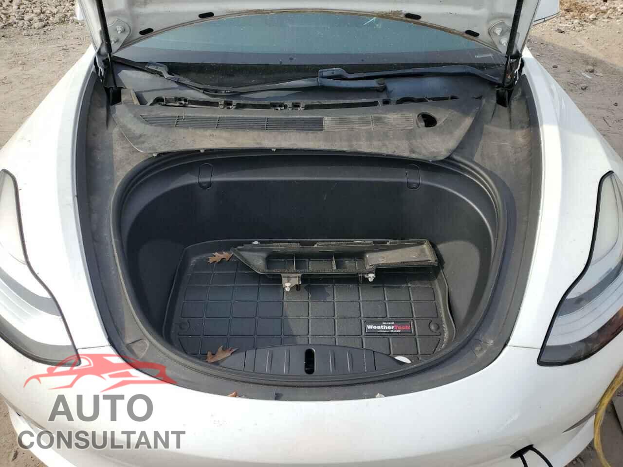 TESLA MODEL 3 2019 - 5YJ3E1EA8KF314683