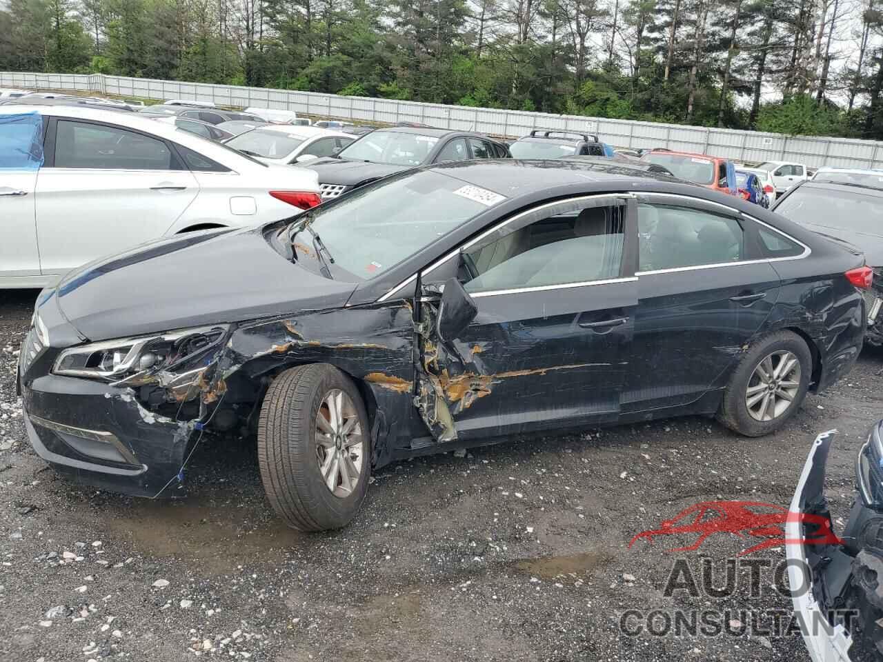 HYUNDAI SONATA 2016 - 5NPE24AA8GH424523