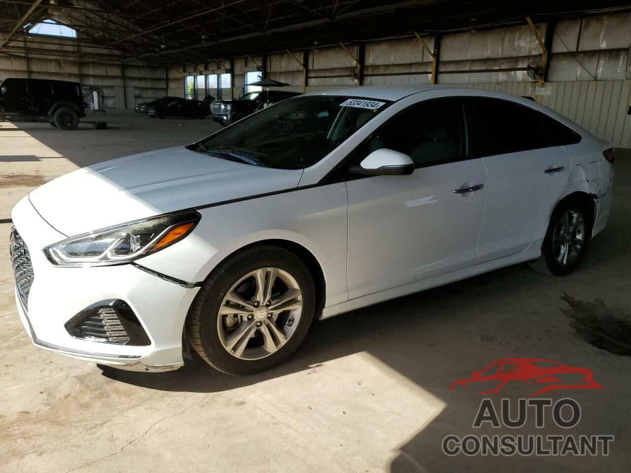 HYUNDAI SONATA 2019 - 5NPE34AF7KH757992
