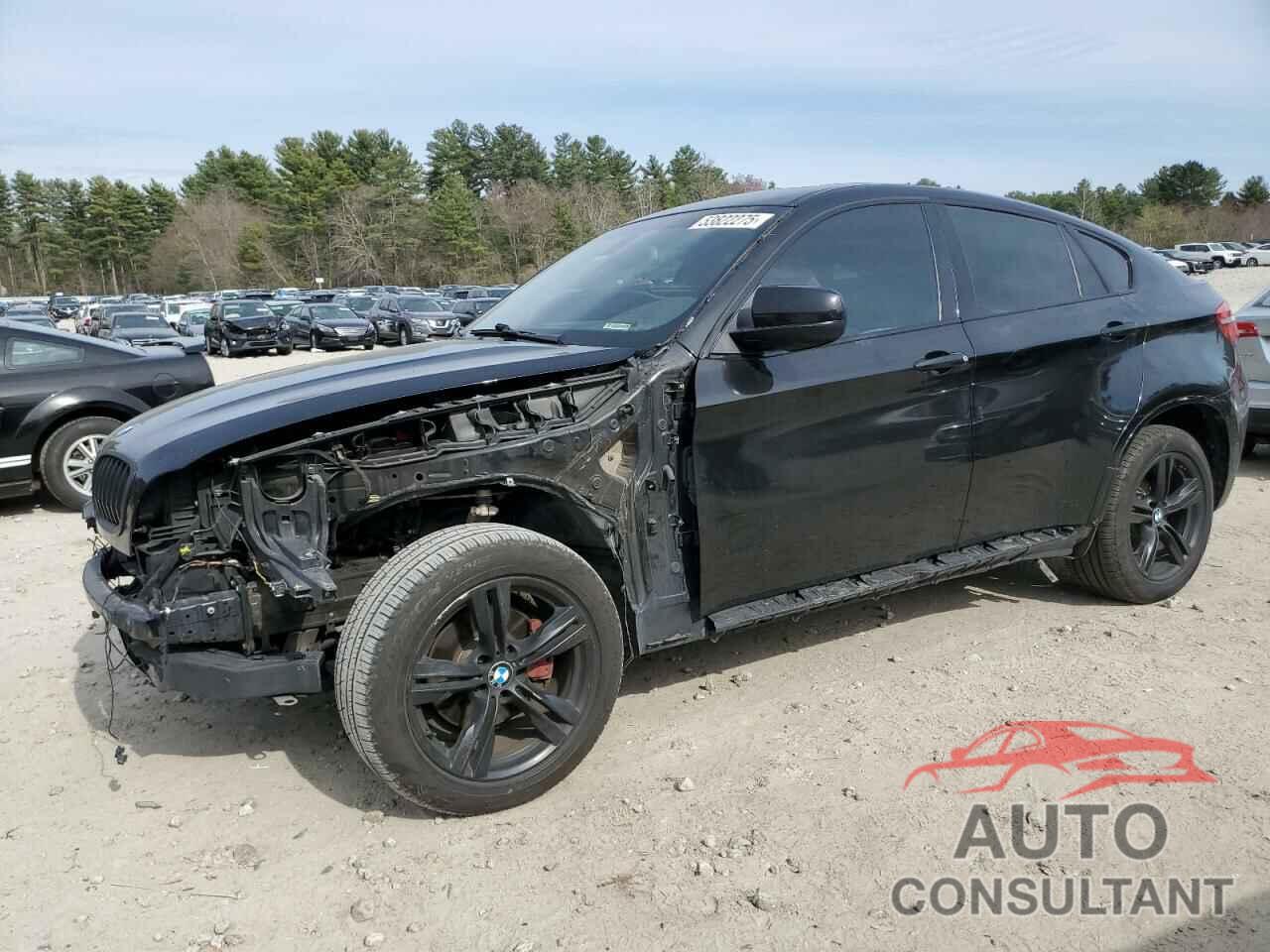 BMW X6 2014 - 5UXFG2C53E0C44890