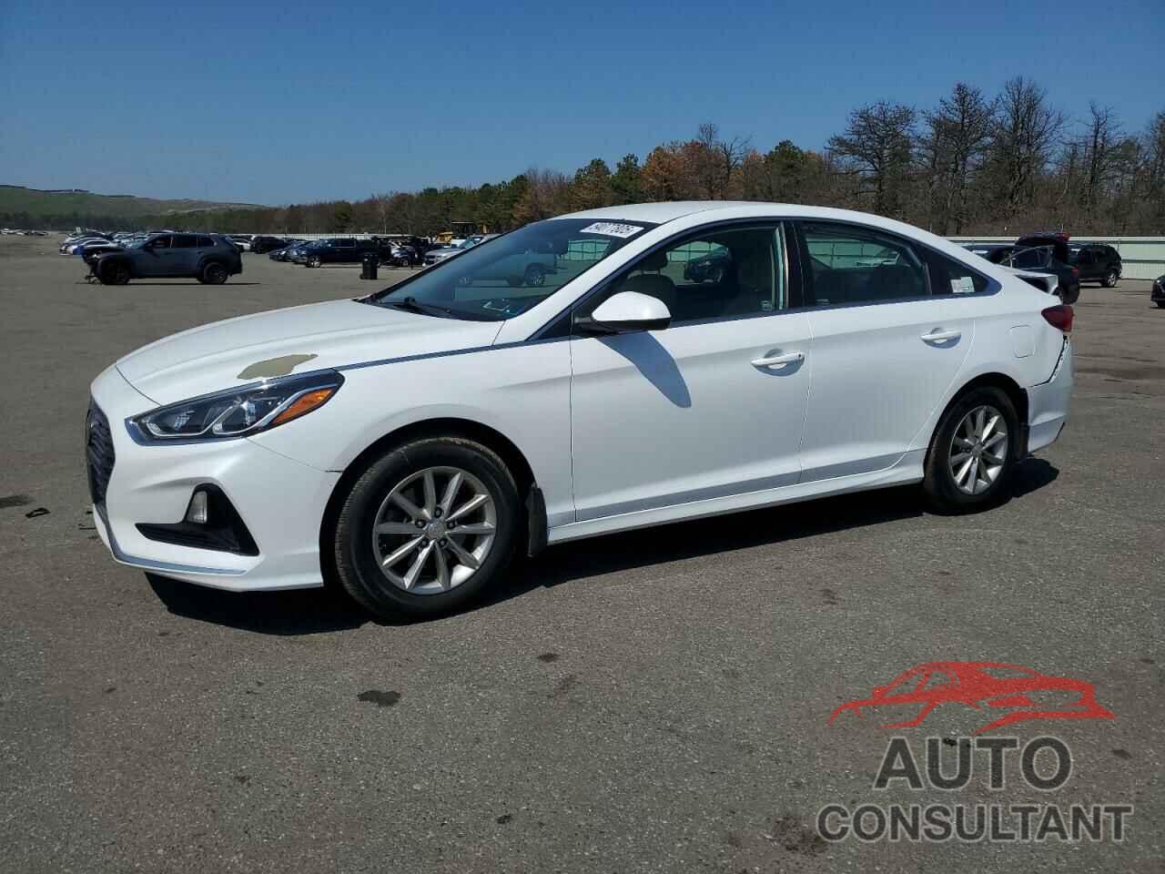 HYUNDAI SONATA 2019 - 5NPE24AF3KH805331
