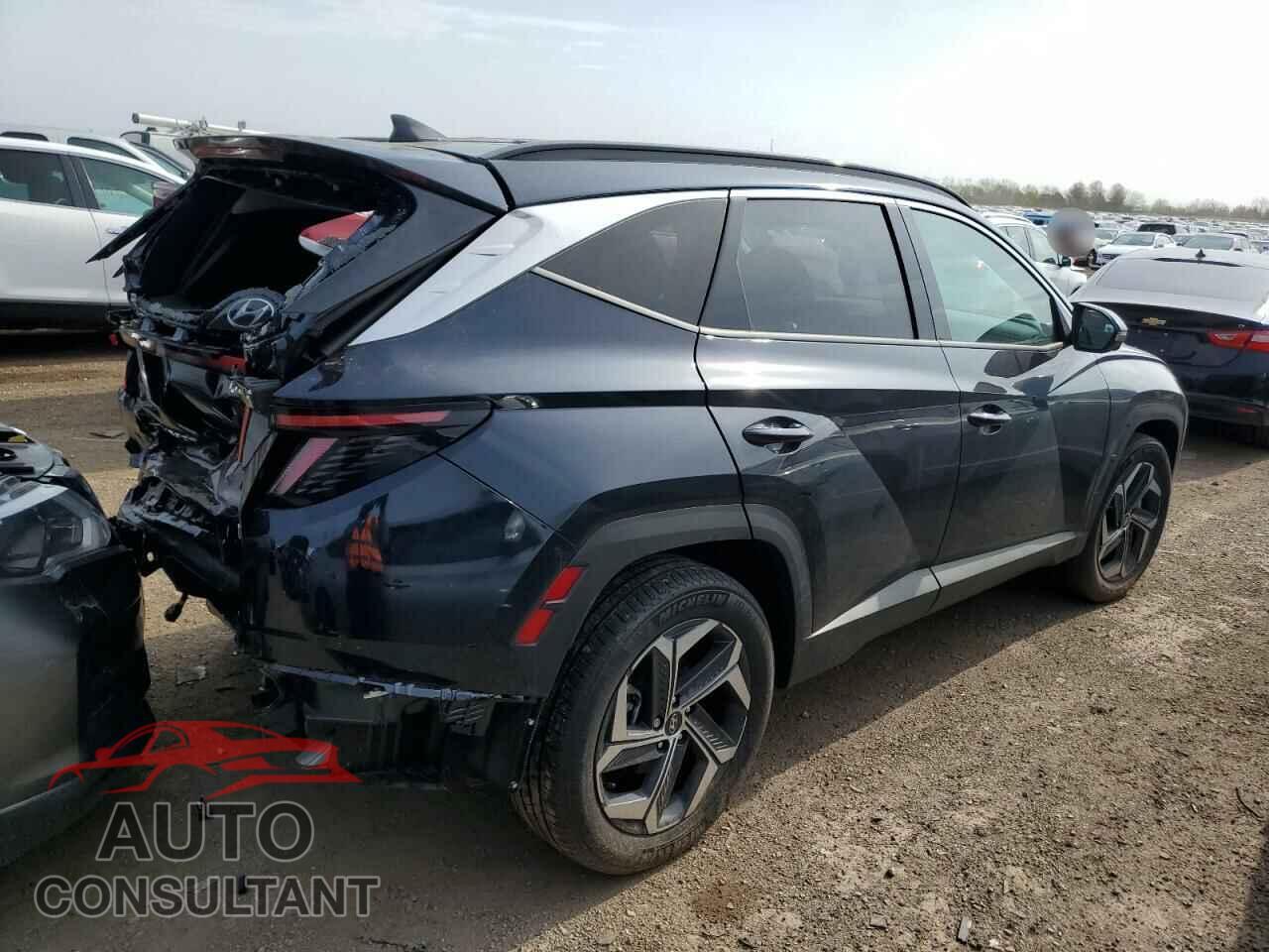 HYUNDAI TUCSON 2024 - KM8JECD16RU242593