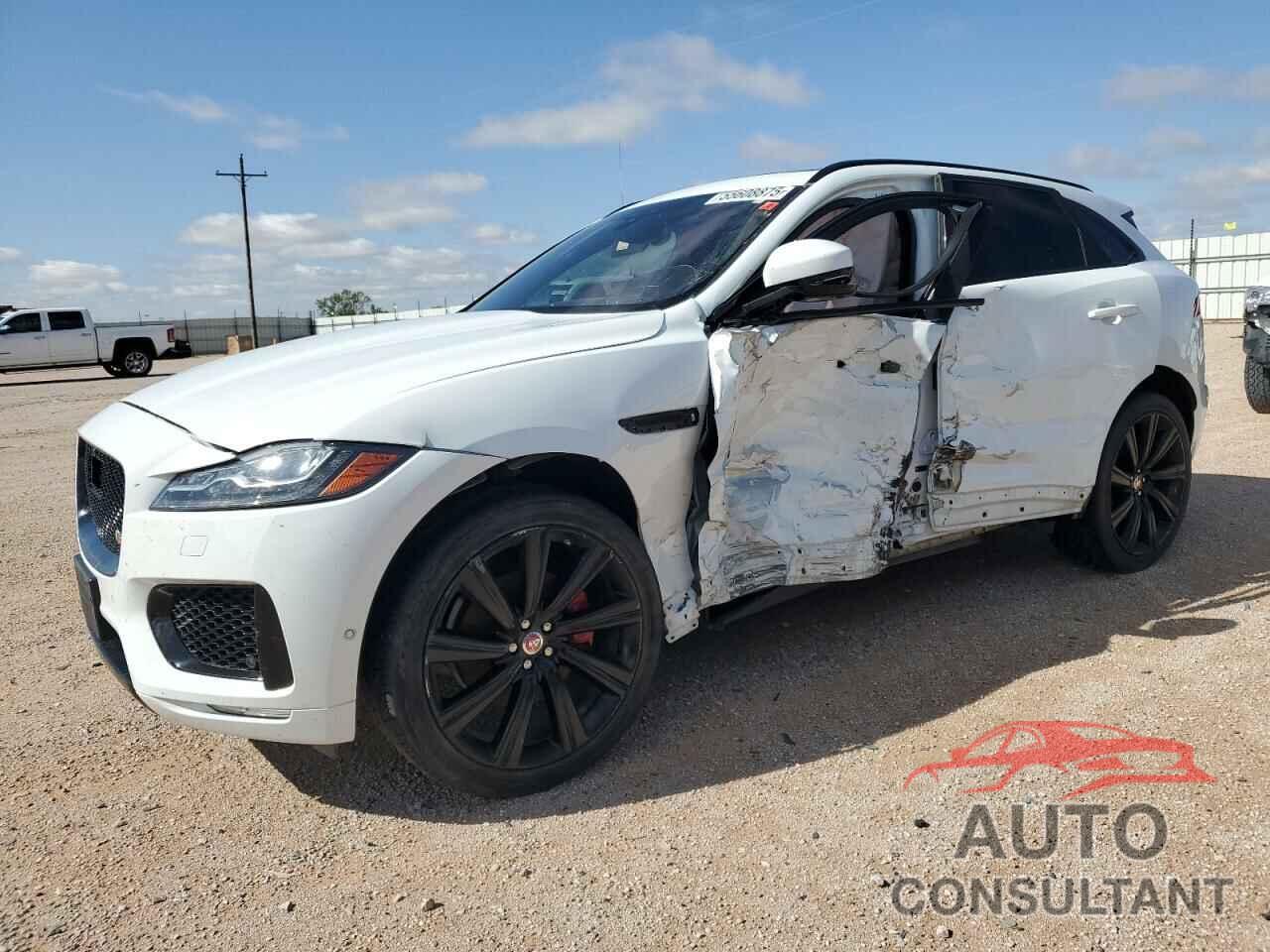 JAGUAR F-PACE 2019 - SADCM2FV2KA358900
