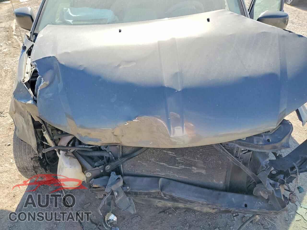 DODGE CARAVAN 2010 - 2D4RN5D15AR397465