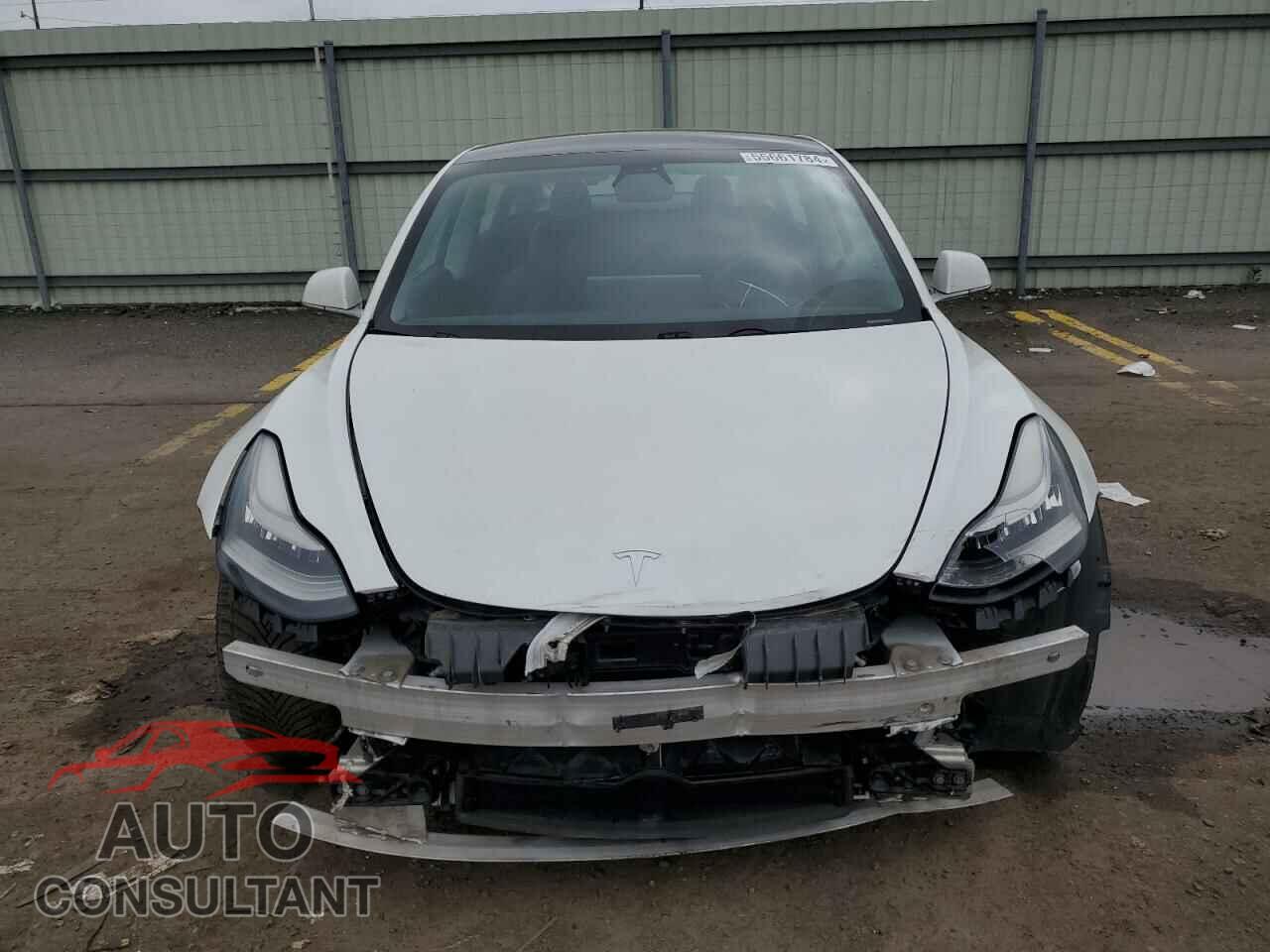 TESLA MODEL 3 2019 - 5YJ3E1EB0KF442232
