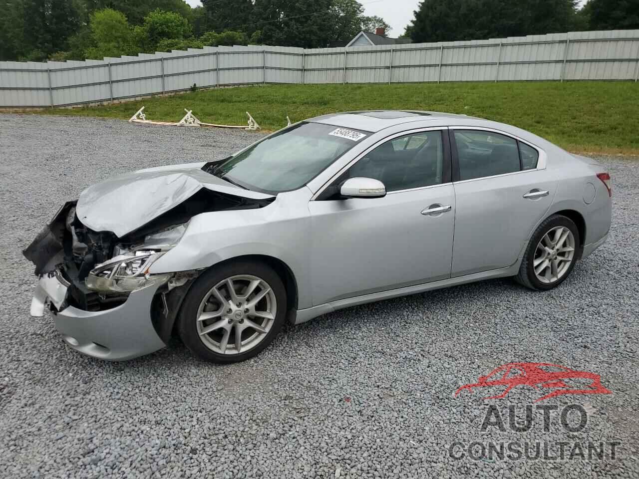 NISSAN MAXIMA 2011 - 1N4AA5AP1BC841911