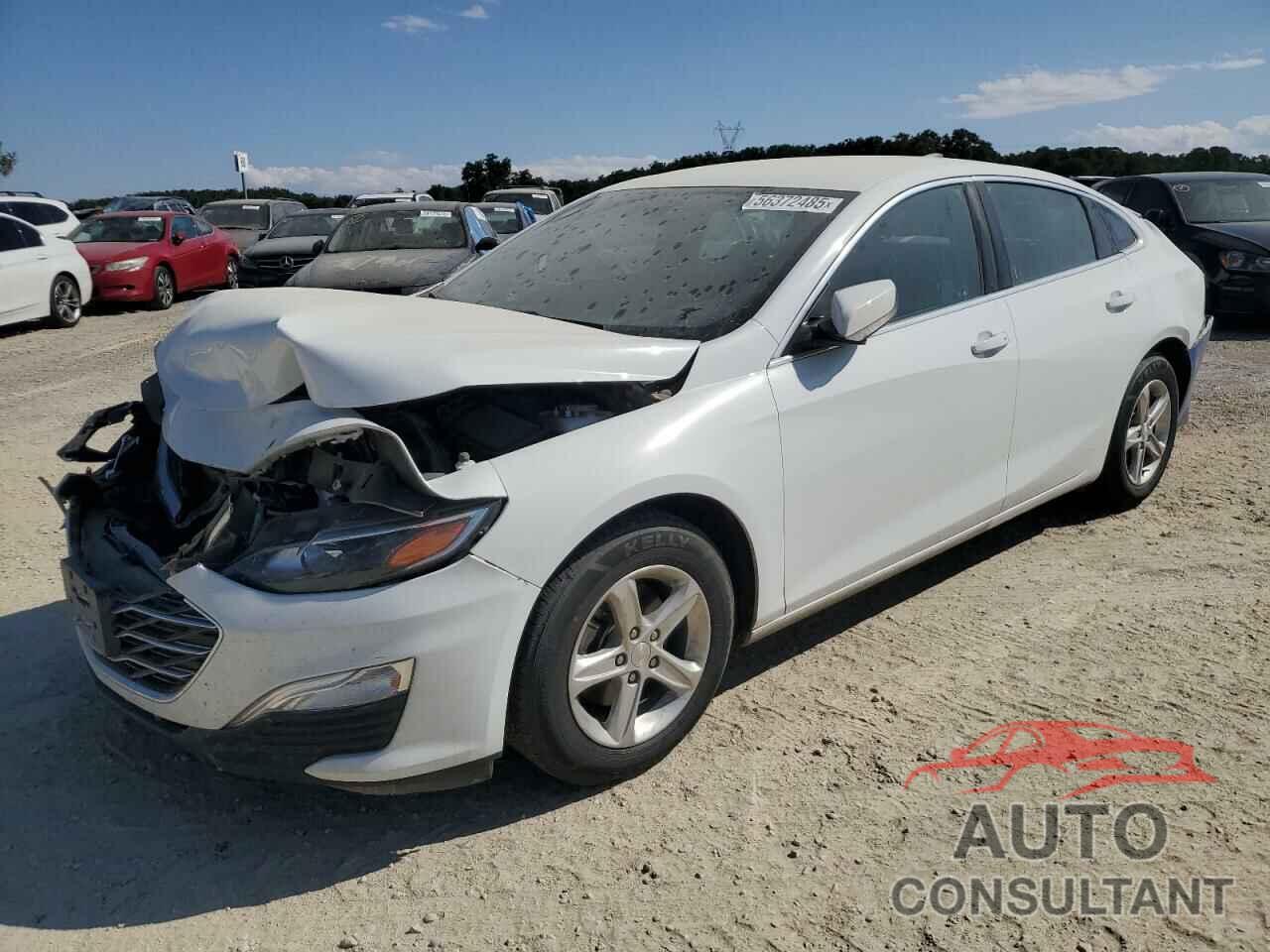 CHEVROLET MALIBU 2019 - 1G1ZC5ST4KF192972