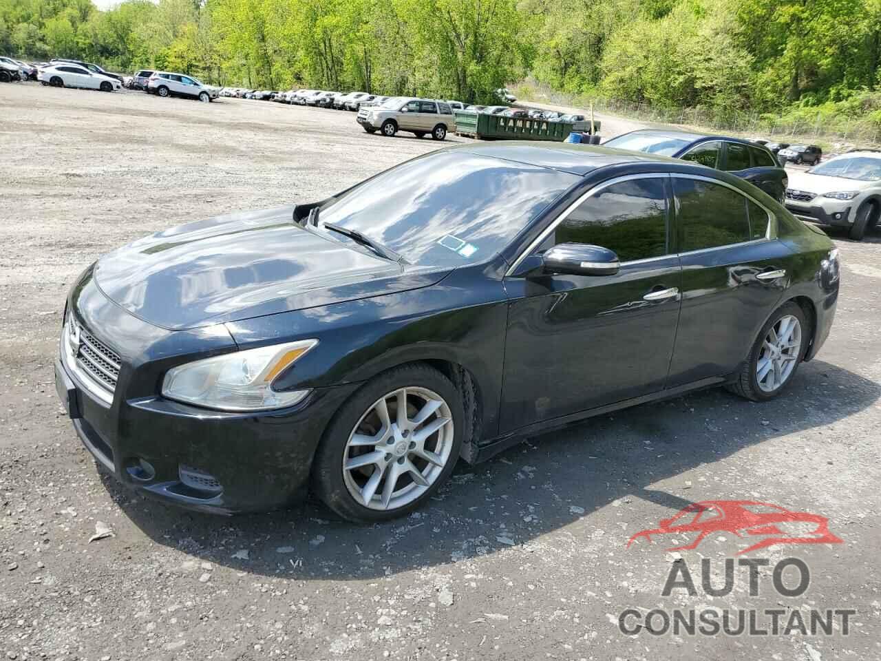 NISSAN MAXIMA 2011 - 1N4AA5AP1BC816233