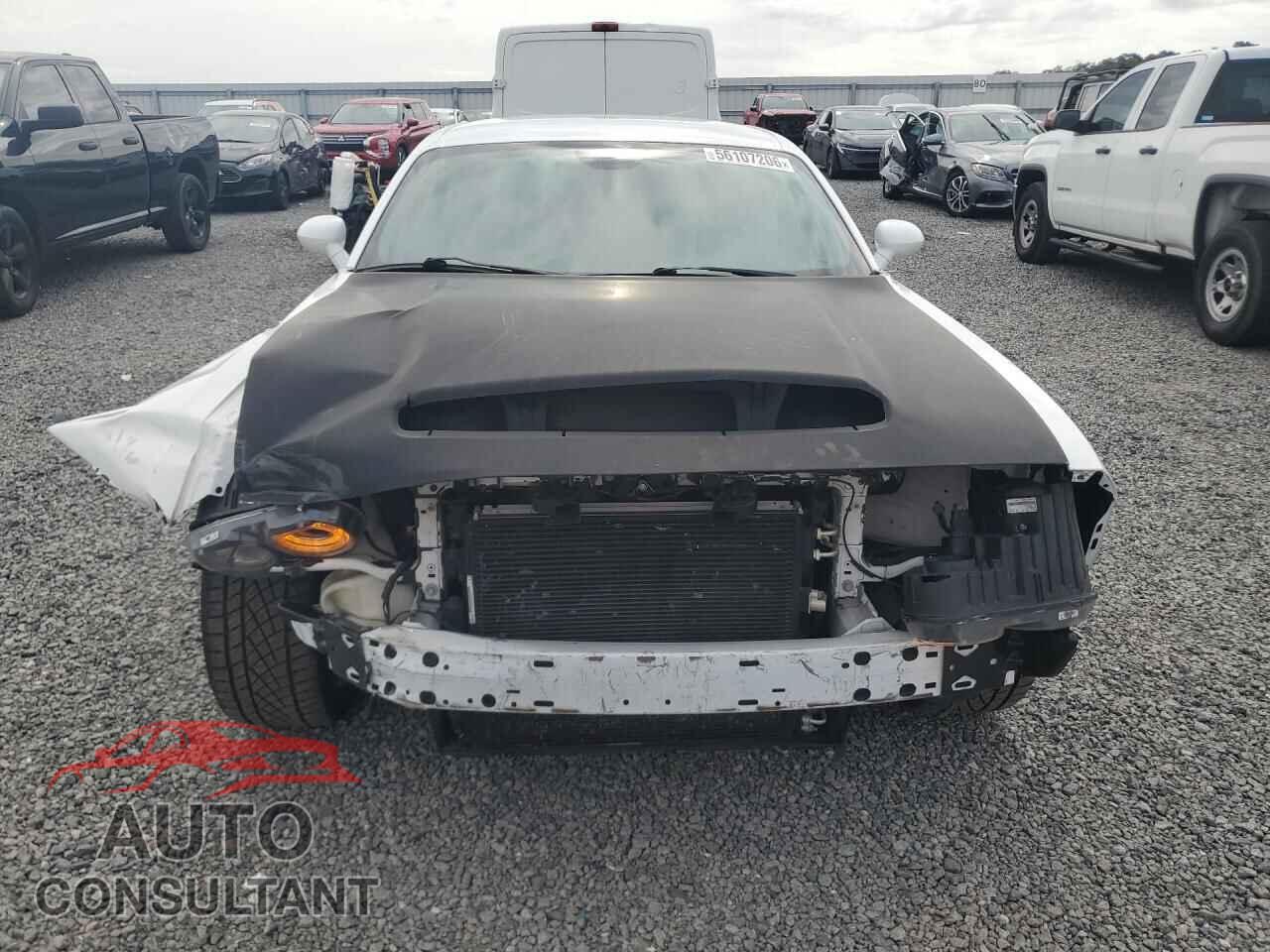 DODGE CHALLENGER 2017 - 2C3CDZBT1HH665255