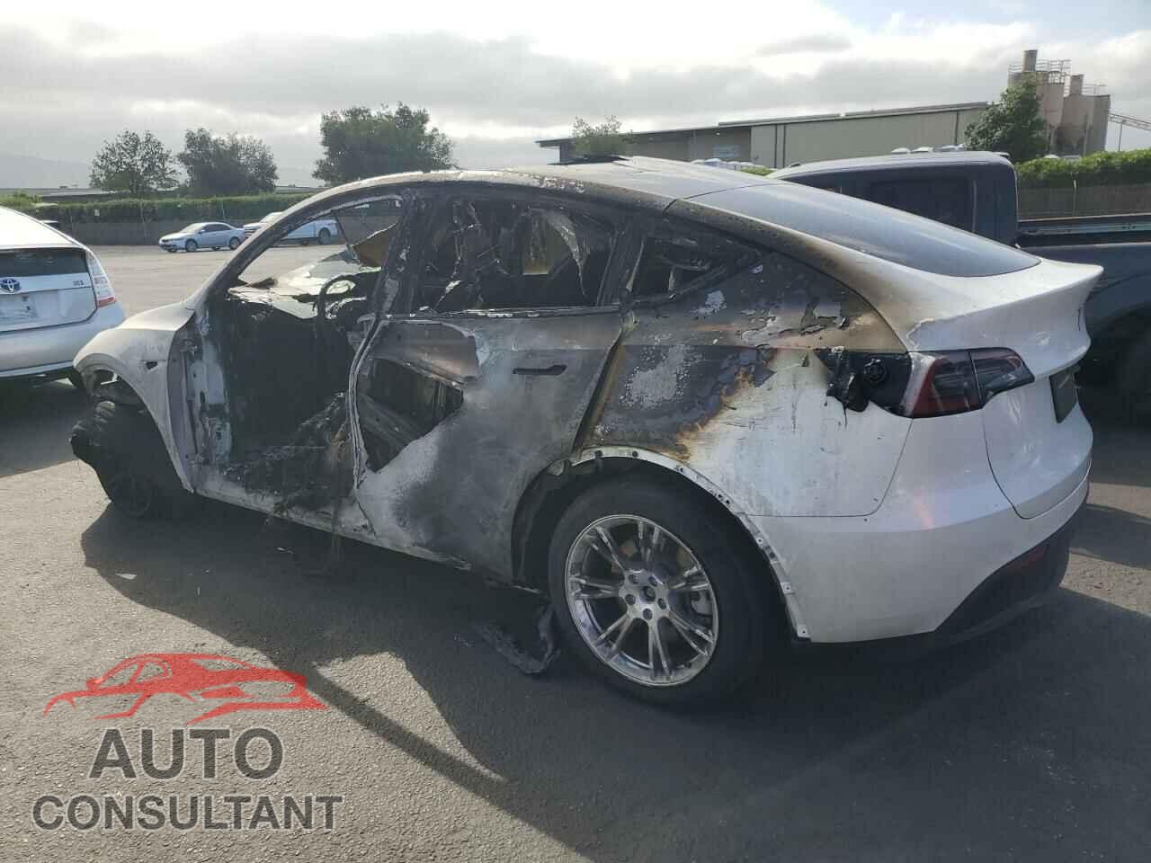 TESLA MODEL Y 2024 - 7SAYGDEE1RF025842