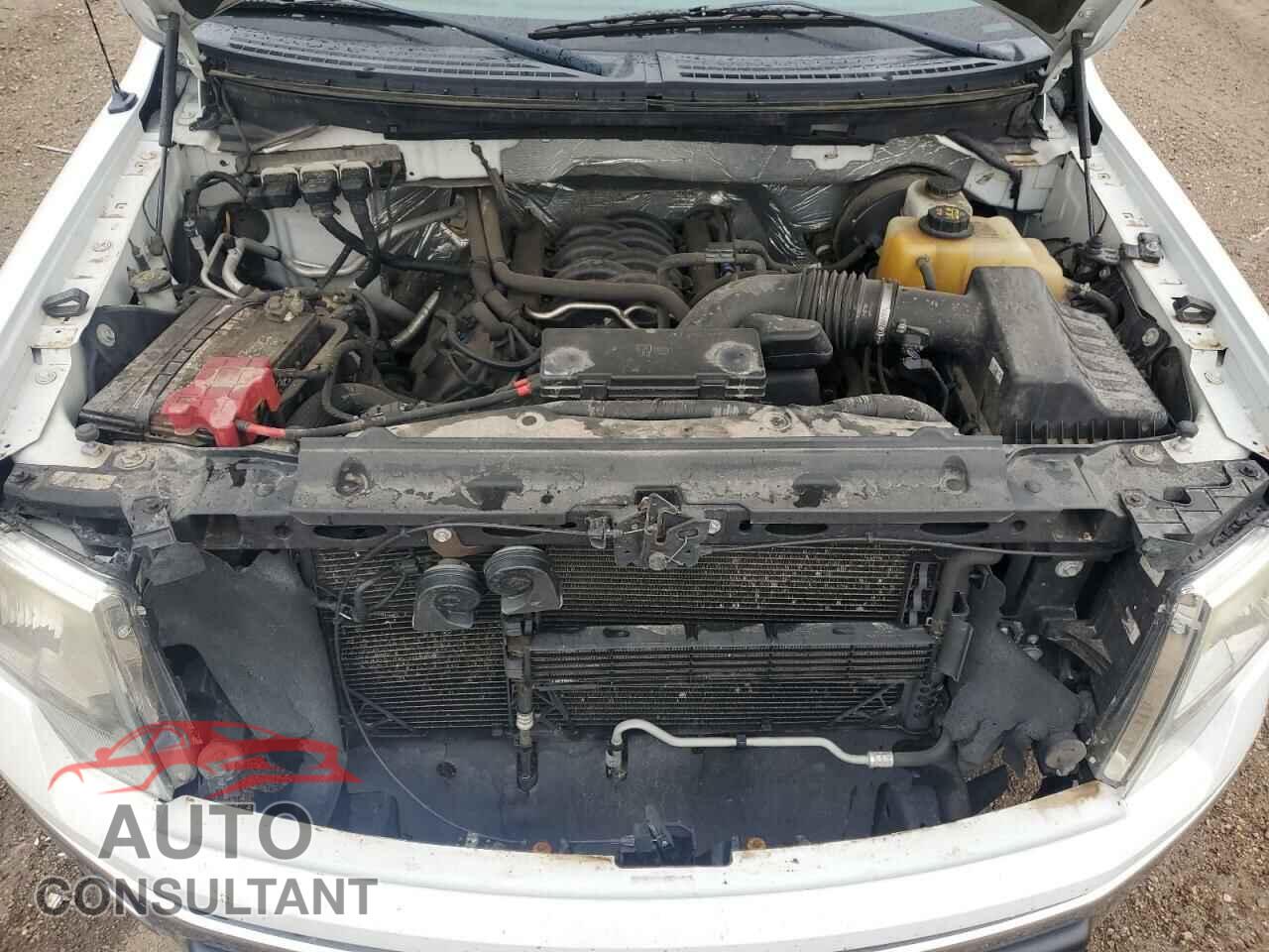 FORD F-150 2013 - 1FTFX1CF9DFD53898