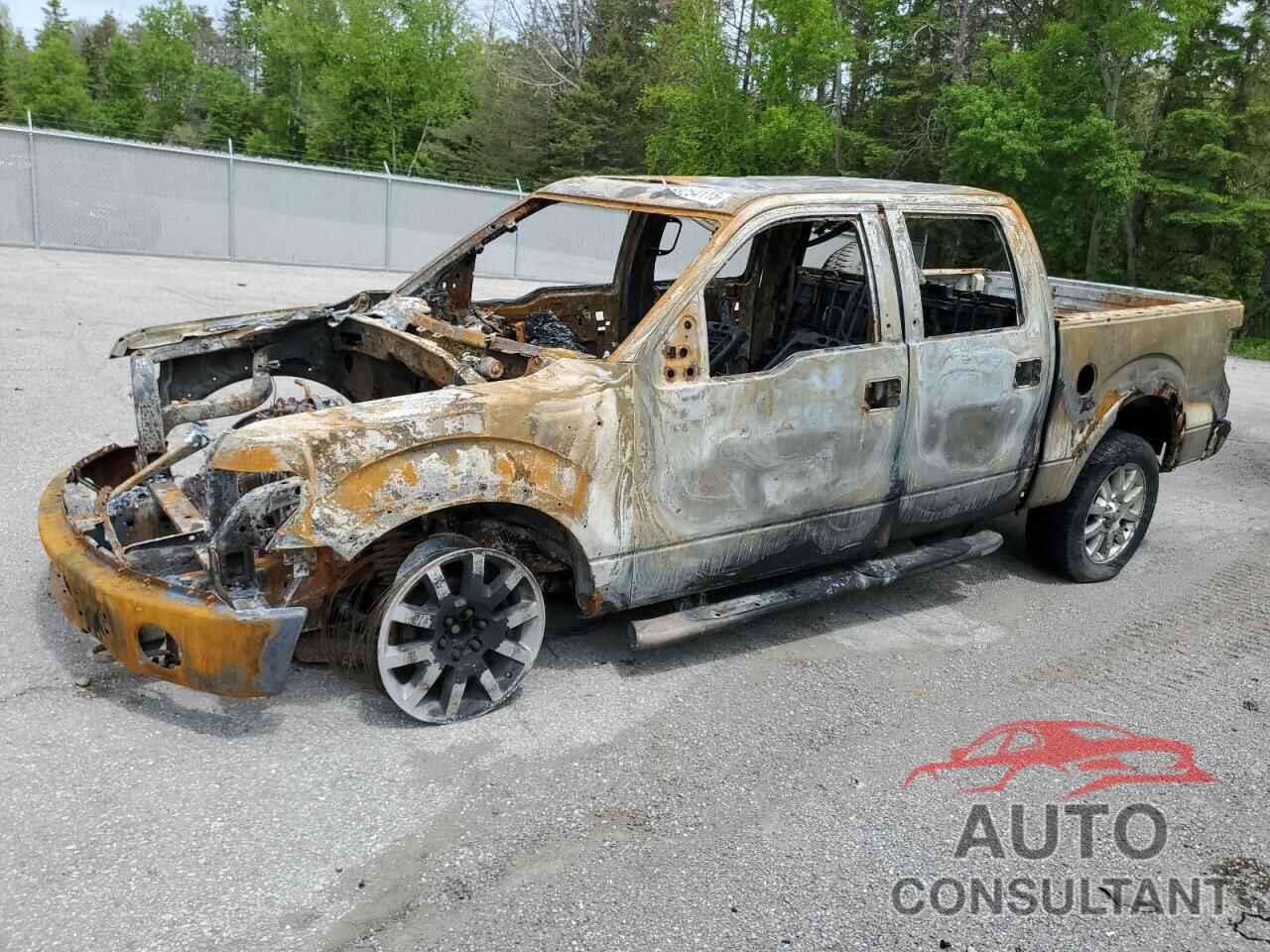 FORD F-150 2009 - 1FTPW14V09KB97407