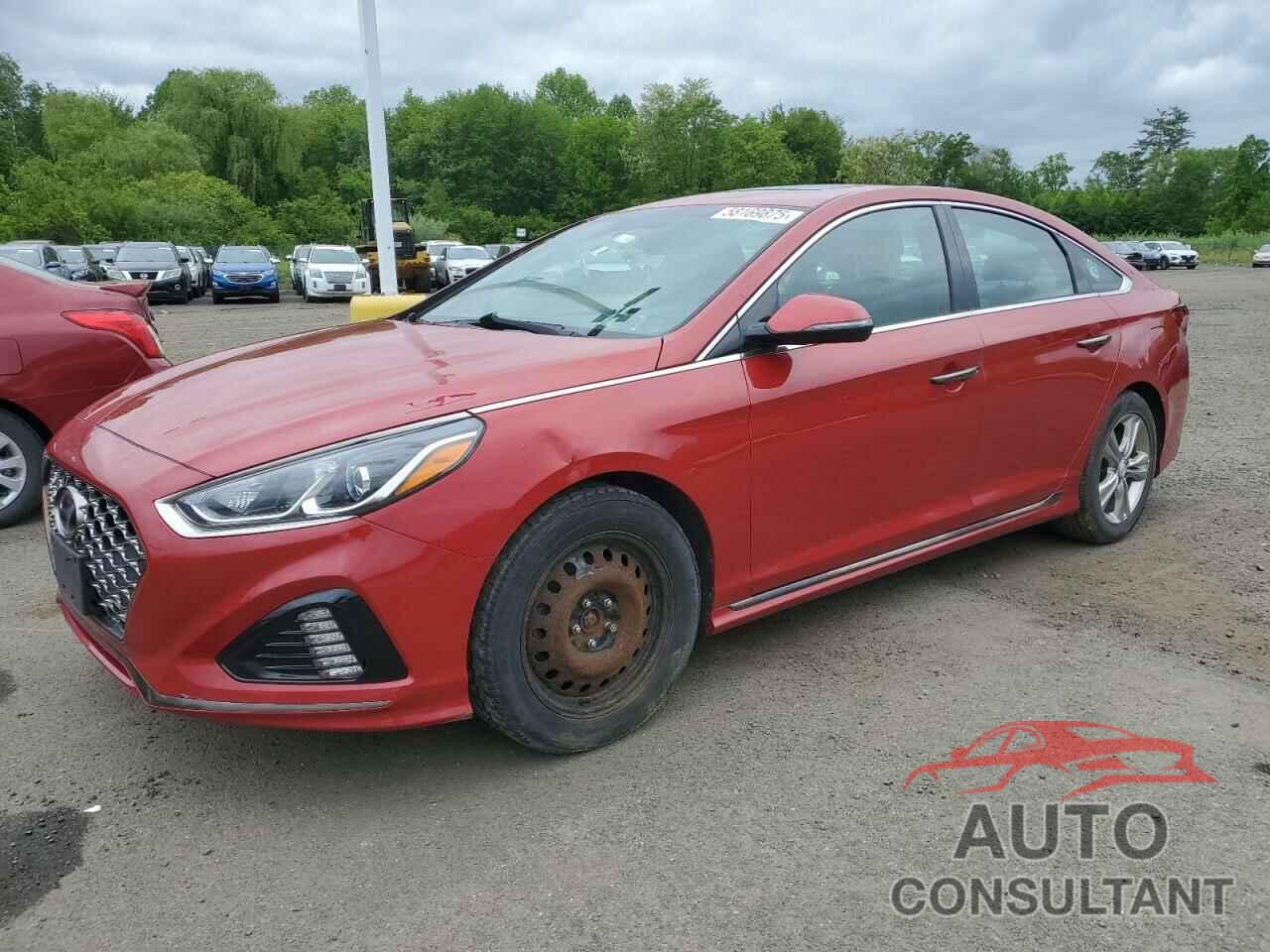HYUNDAI SONATA 2019 - 5NPE34AF8KH821537