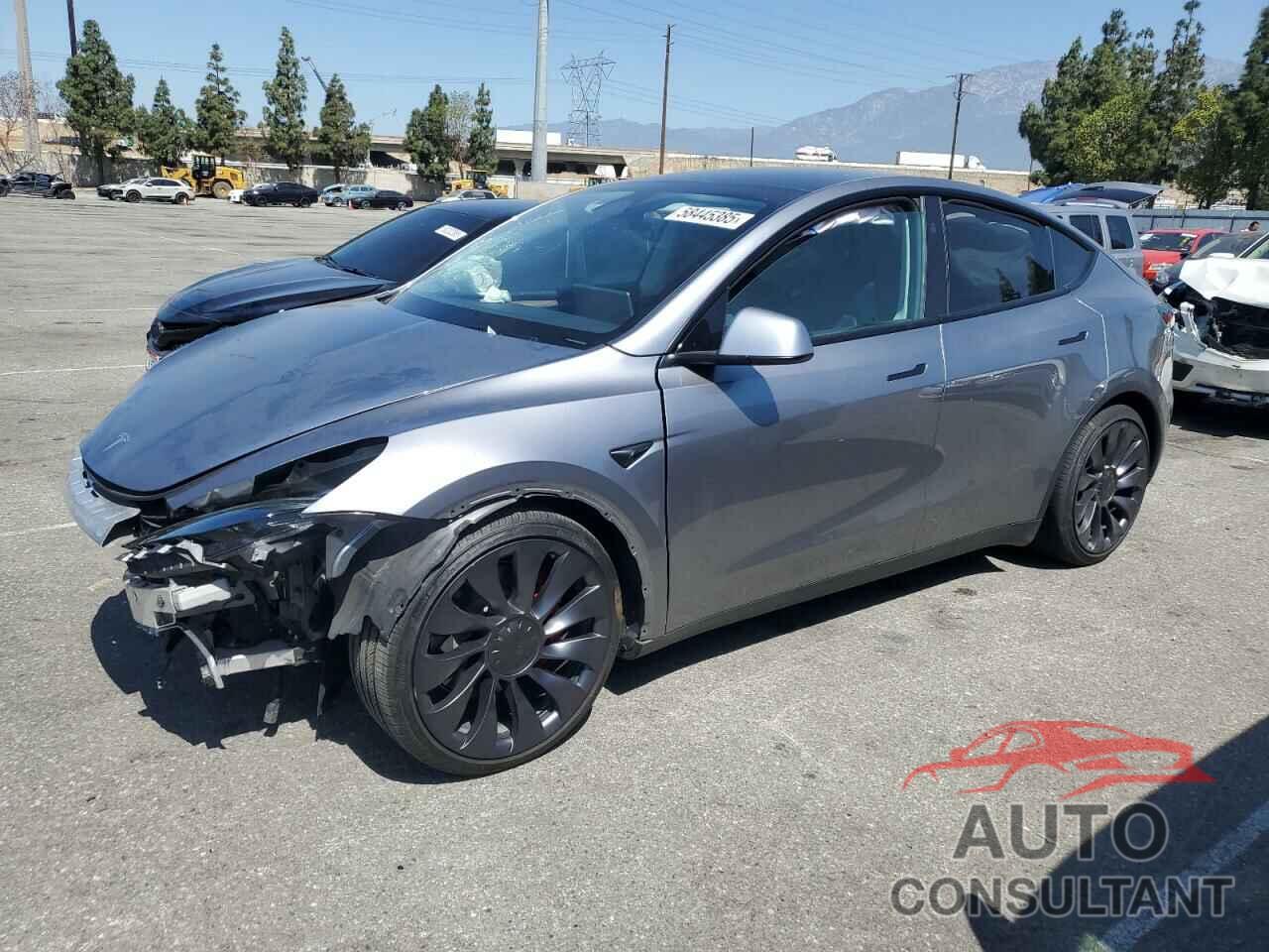 TESLA MODEL Y 2025 - 7SAYGDEF0SF232088
