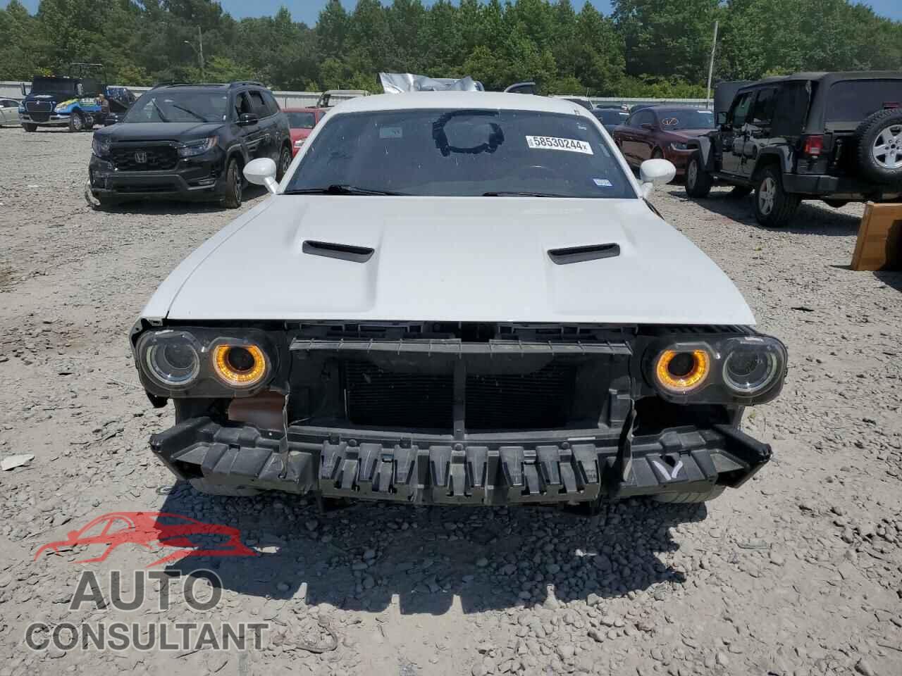 DODGE CHALLENGER 2020 - 2C3CDZAG3LH110191