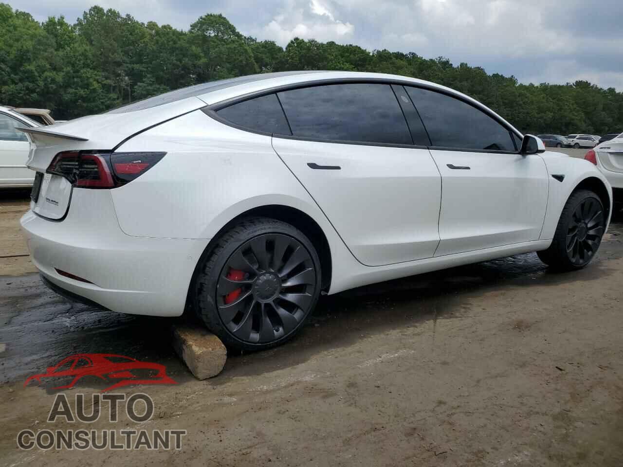 TESLA MODEL 3 2021 - 5YJ3E1EC0MF020358