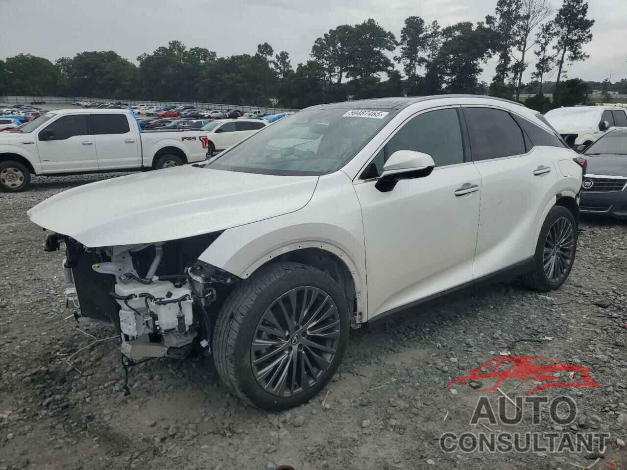 LEXUS RX350 2024 - 2T2BAMBA7RC035152