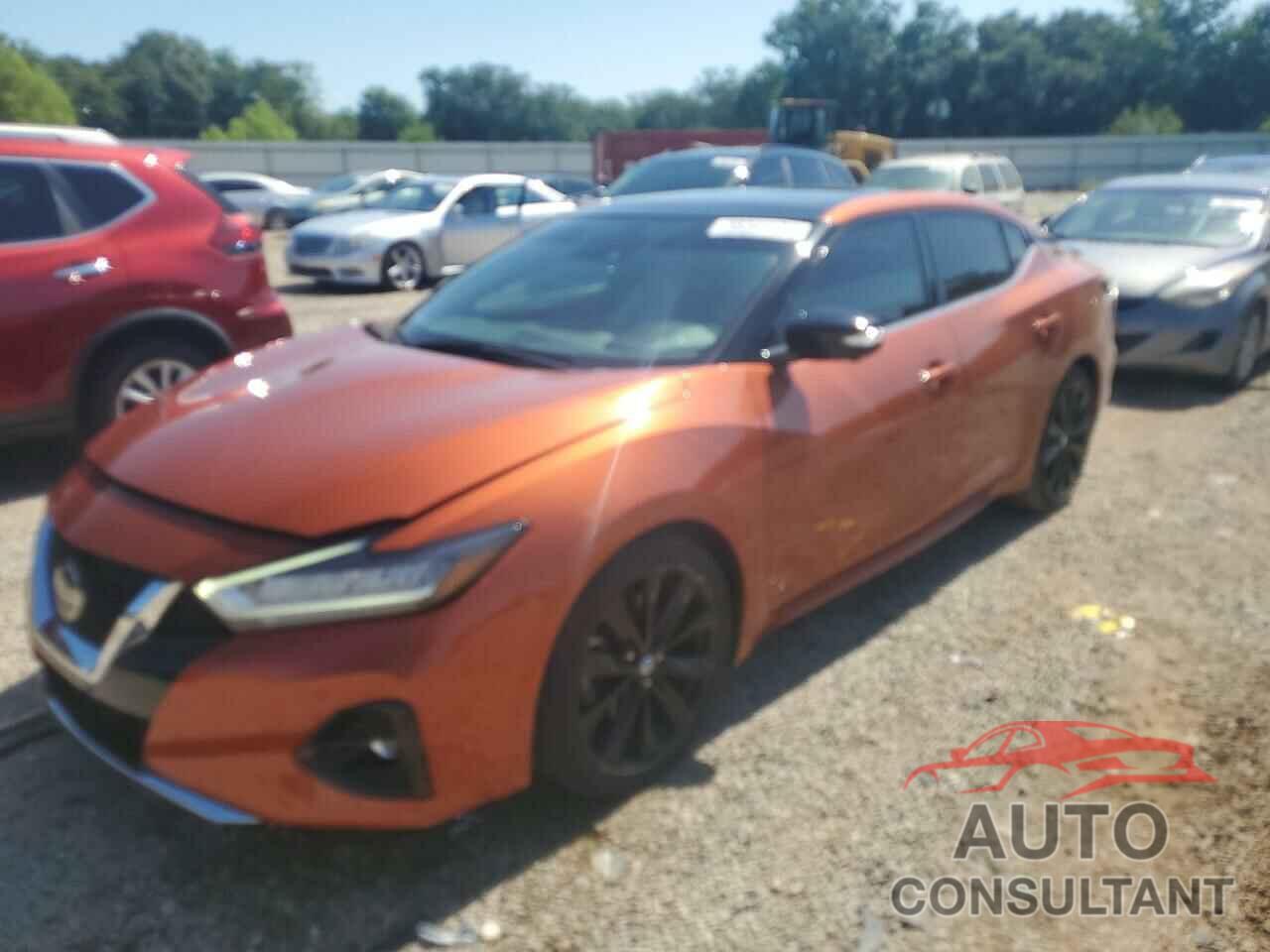 NISSAN MAXIMA 2019 - 1N4AA6AV1KC379547