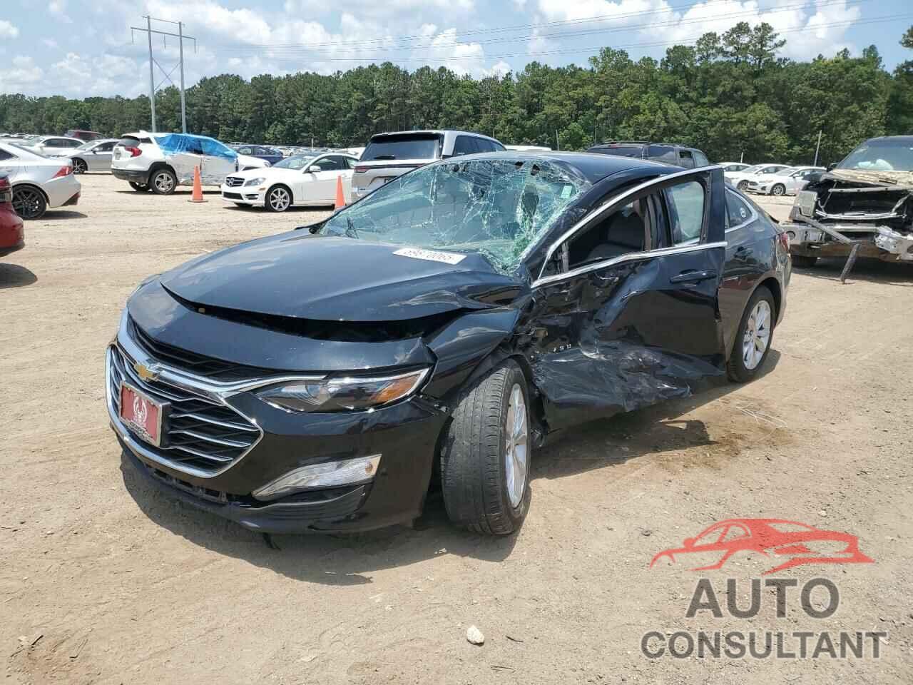 CHEVROLET MALIBU 2019 - 1G1ZD5ST8KF148552