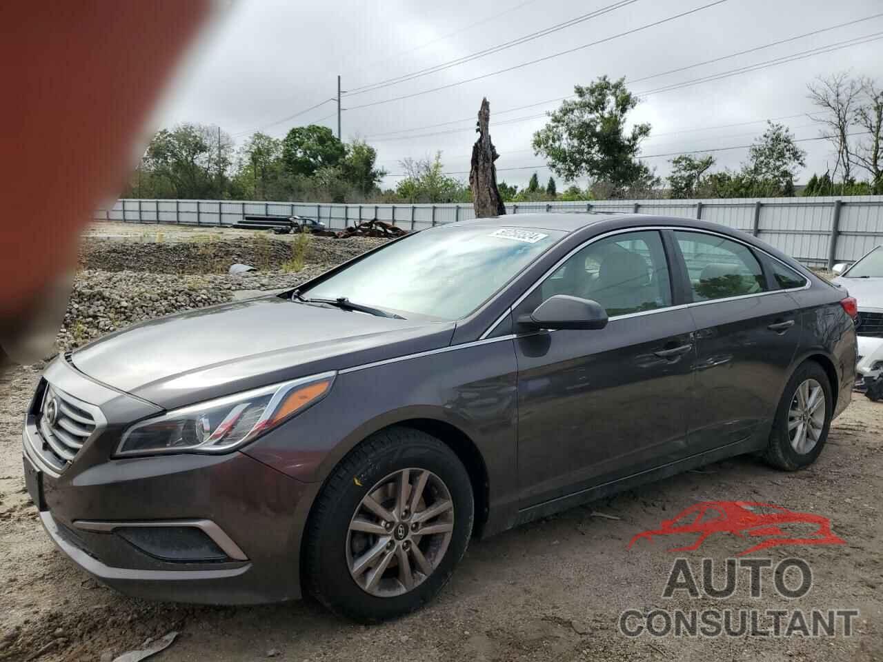 HYUNDAI SONATA 2017 - 5NPE24AF4HH563531