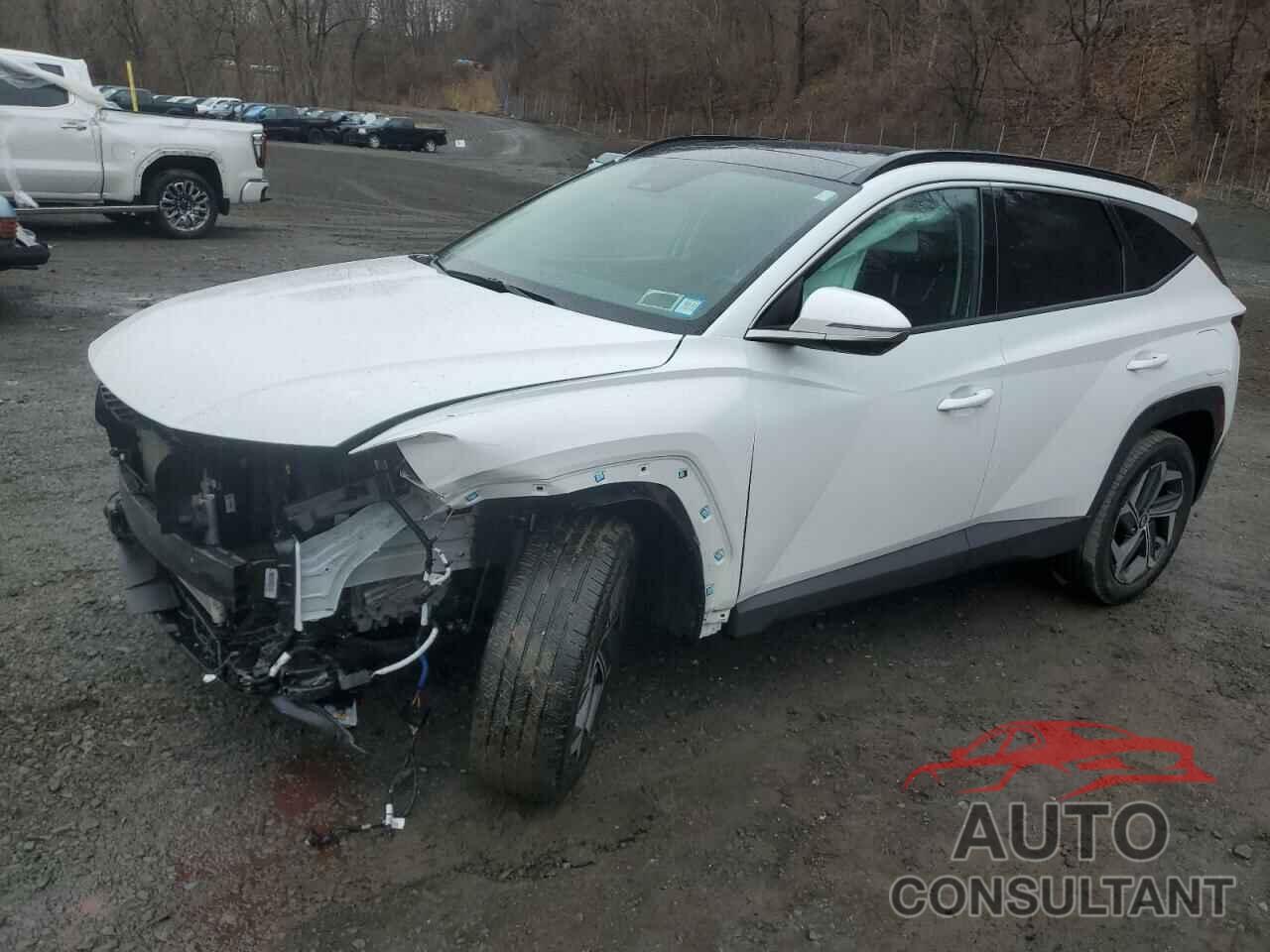 HYUNDAI TUCSON 2022 - 5NMJECAE6NH030726