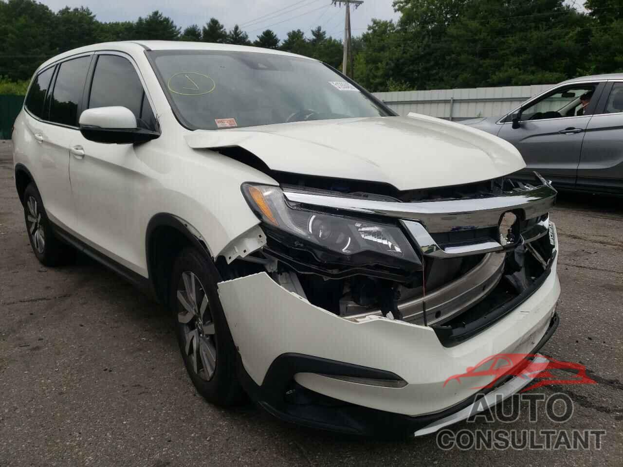 HONDA PILOT 2019 - 5FNYF6H59KB064644