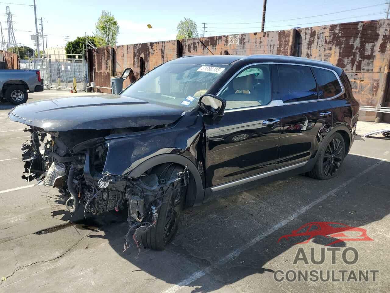 KIA TELLURIDE 2021 - 5XYP54HCXMG173451
