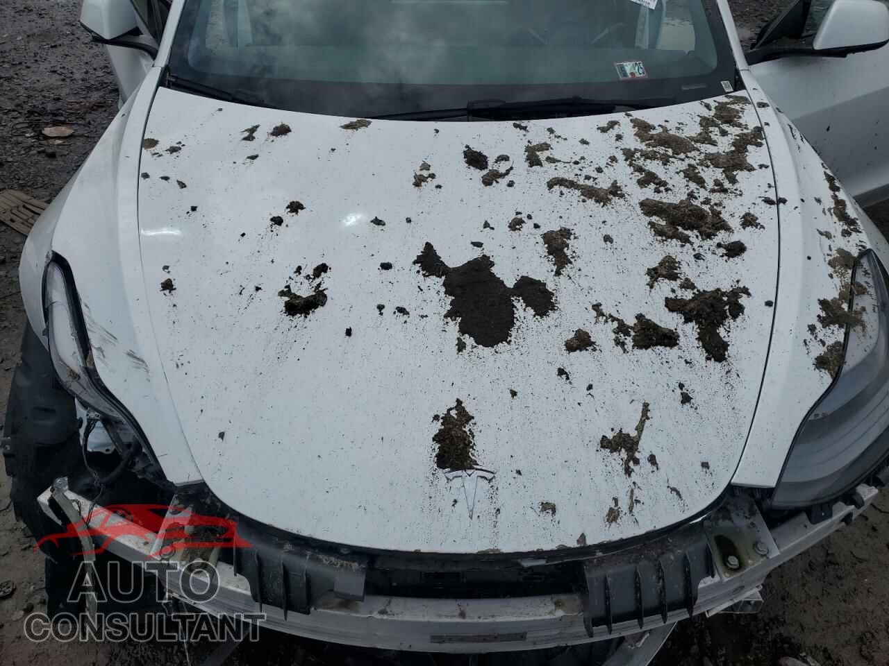 TESLA MODEL 3 2023 - 5YJ3E1EA6PF449703