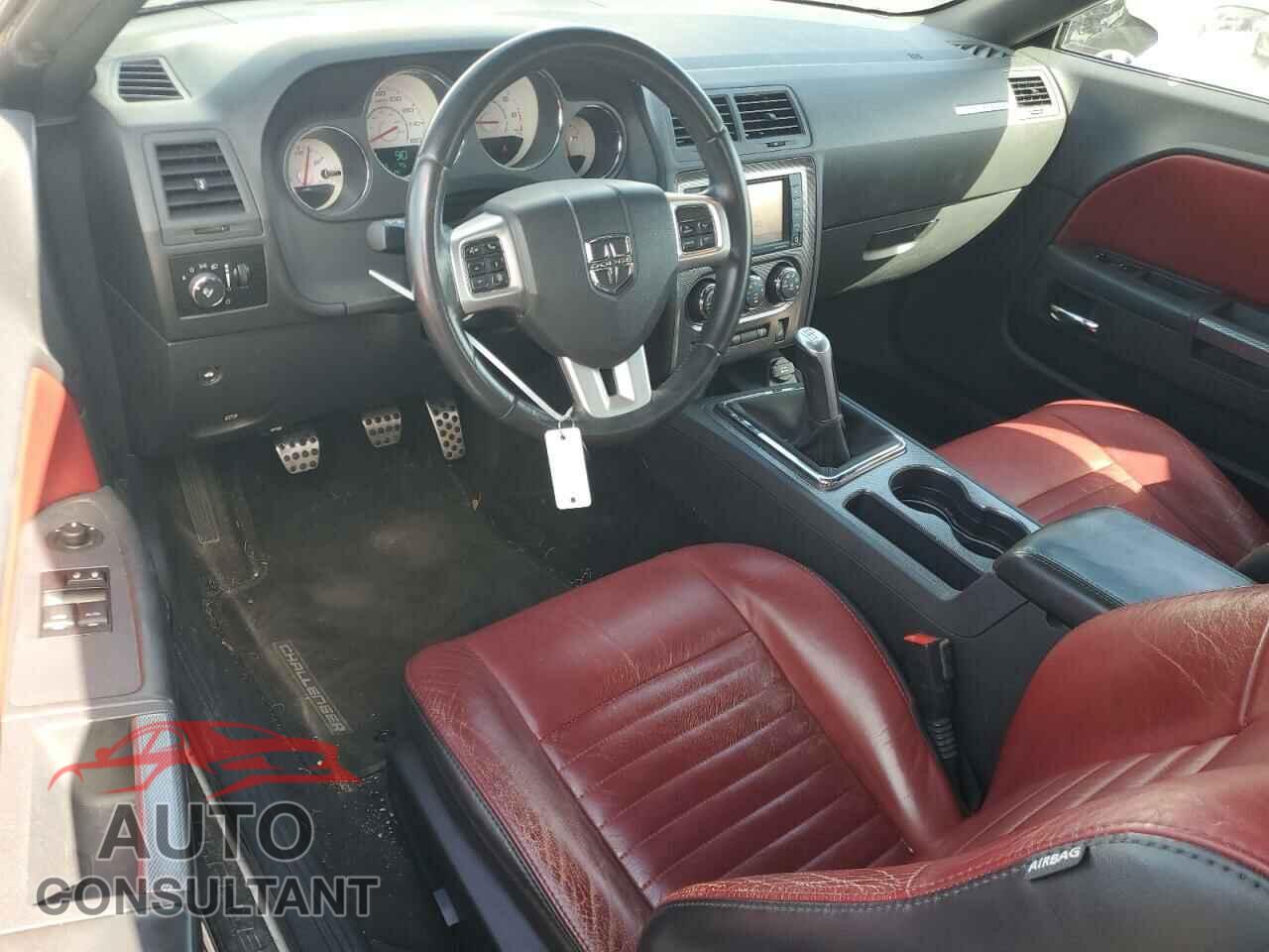DODGE CHALLENGER 2013 - 2C3CDYBT3DH676567