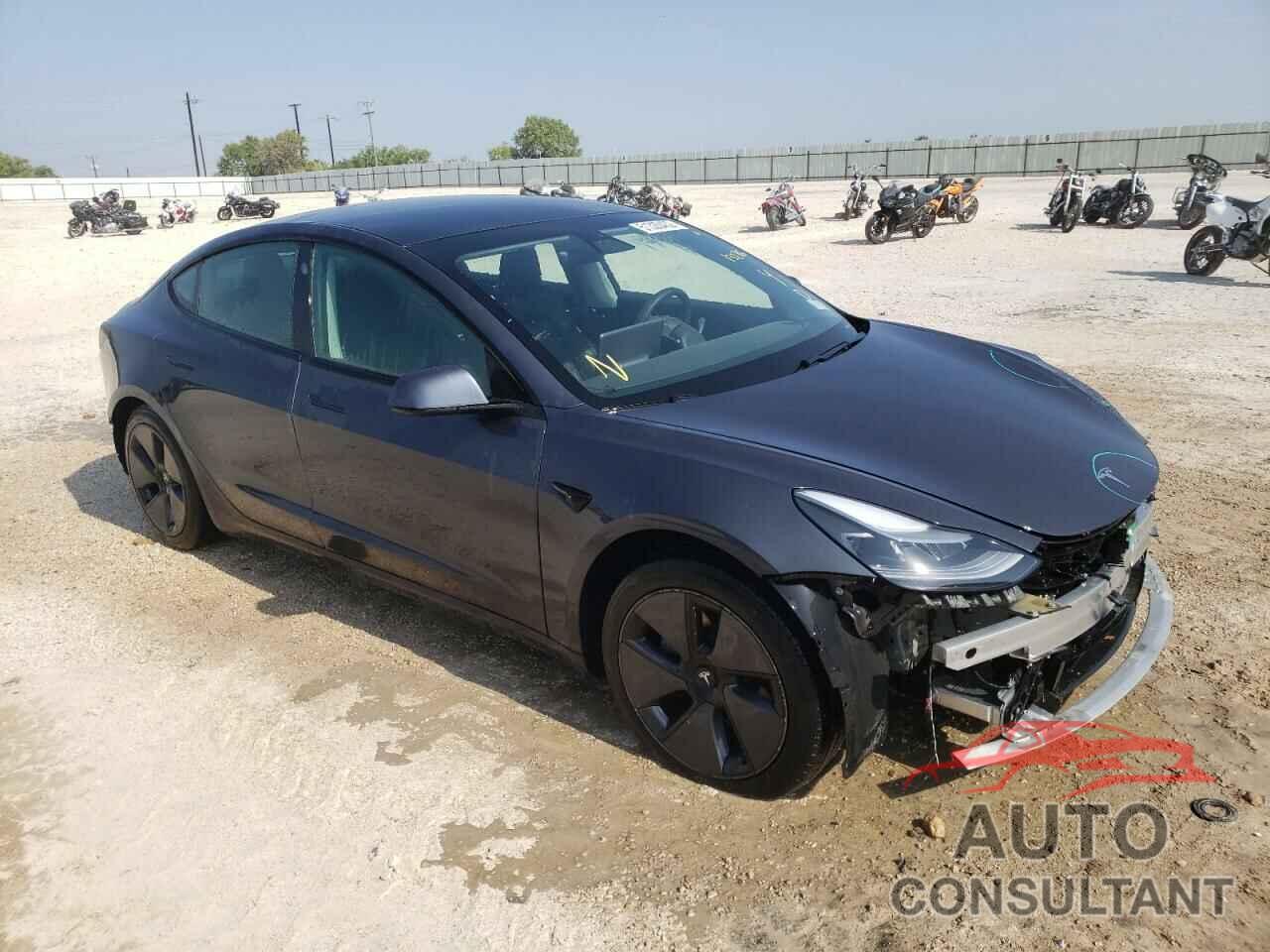 TESLA MODEL 3 2021 - 5YJ3E1EA5MF921384