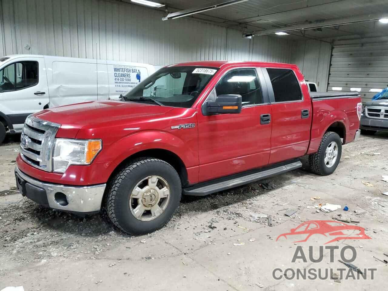 FORD F-150 2011 - 1FTEW1CM6BKD53598
