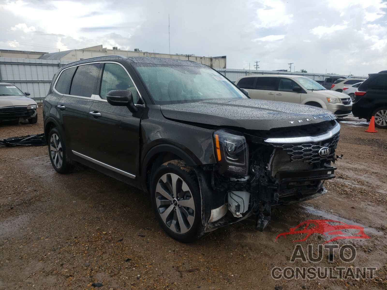 KIA TELLURIDE 2020 - 5XYP64HC5LG072913