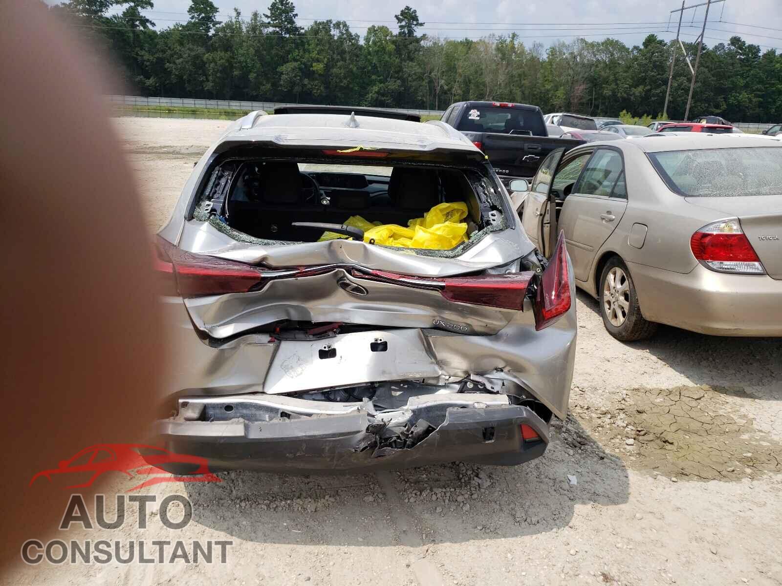 LEXUS UX 200 2019 - JTHY3JBH0K2016613