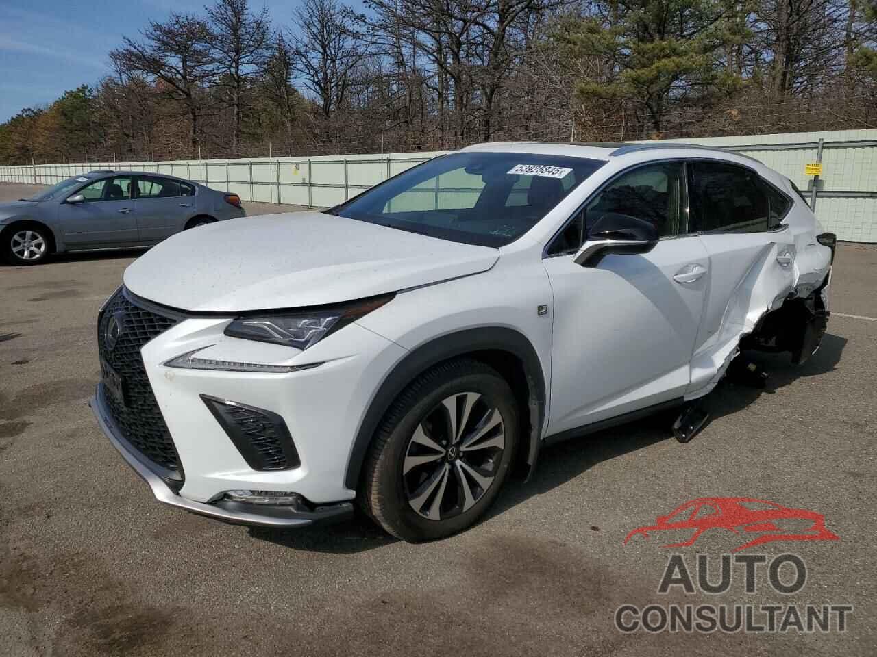 LEXUS NX 2019 - JTJBARBZ9K2201065