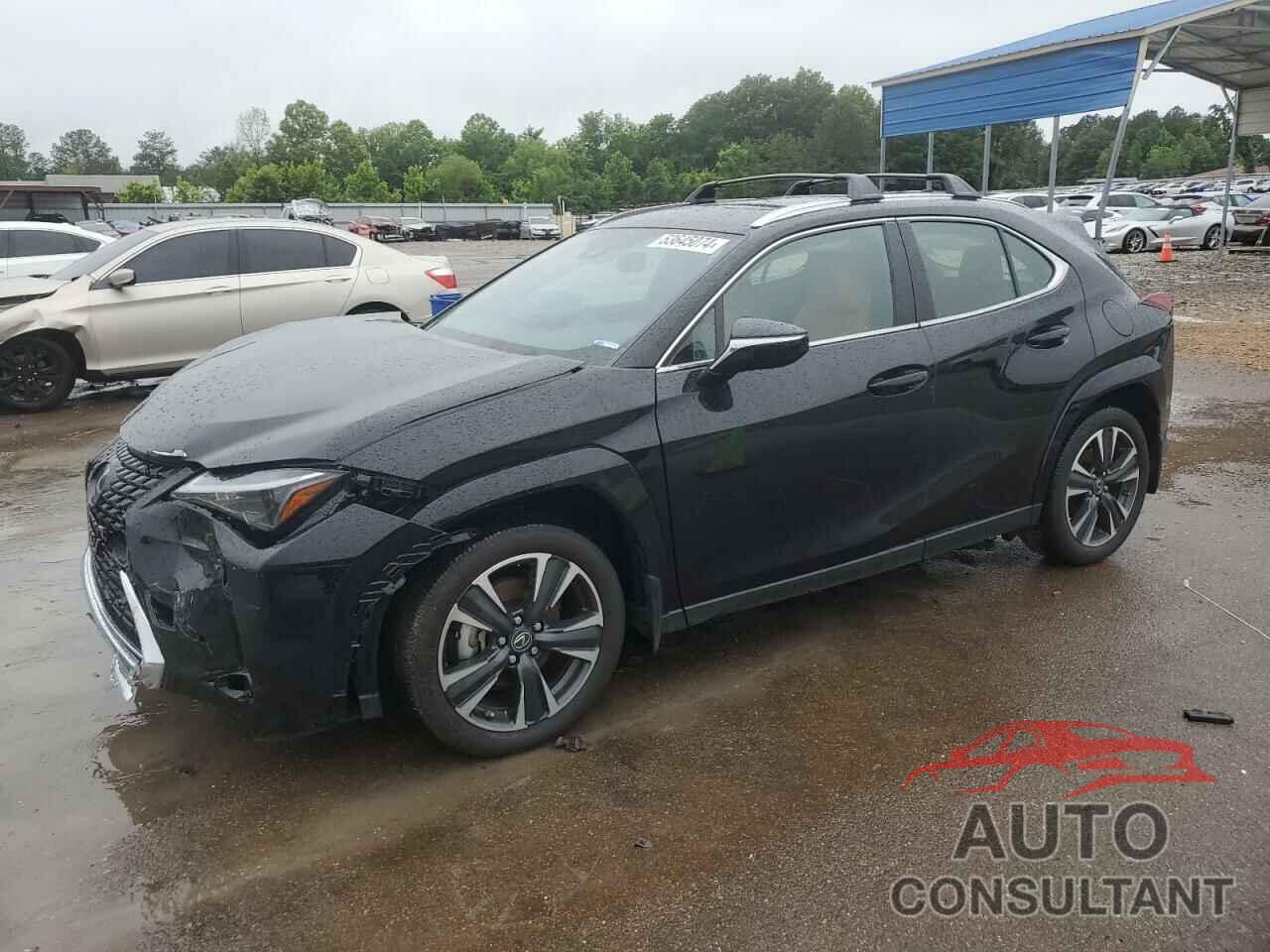 LEXUS UX 250H PR 2024 - JTHP6JBH0R2181008