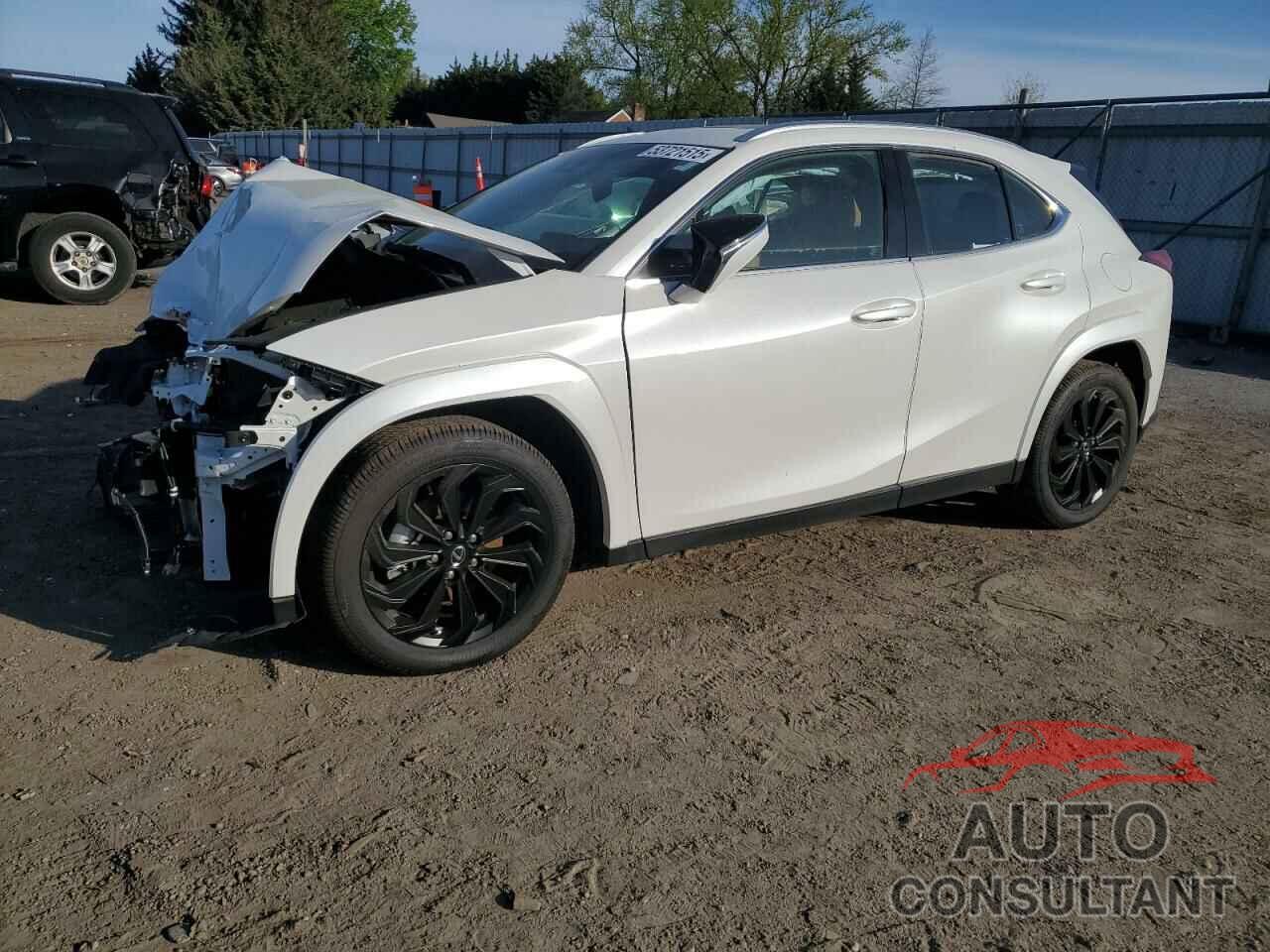 LEXUS UX 250H PR 2024 - JTHP9JBH6R2077520