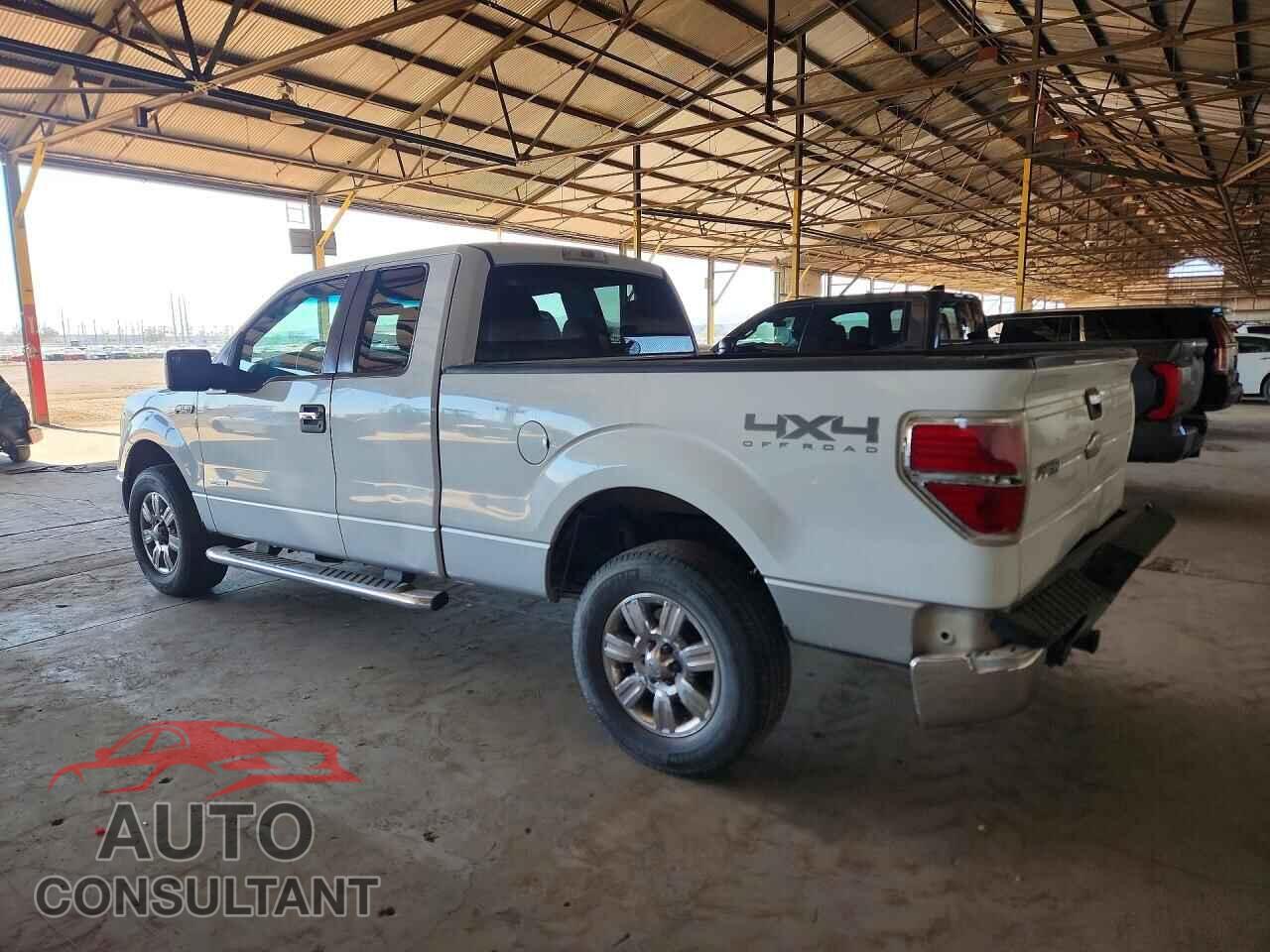 FORD F150 2011 - 1FTFX1ET7BFB57734