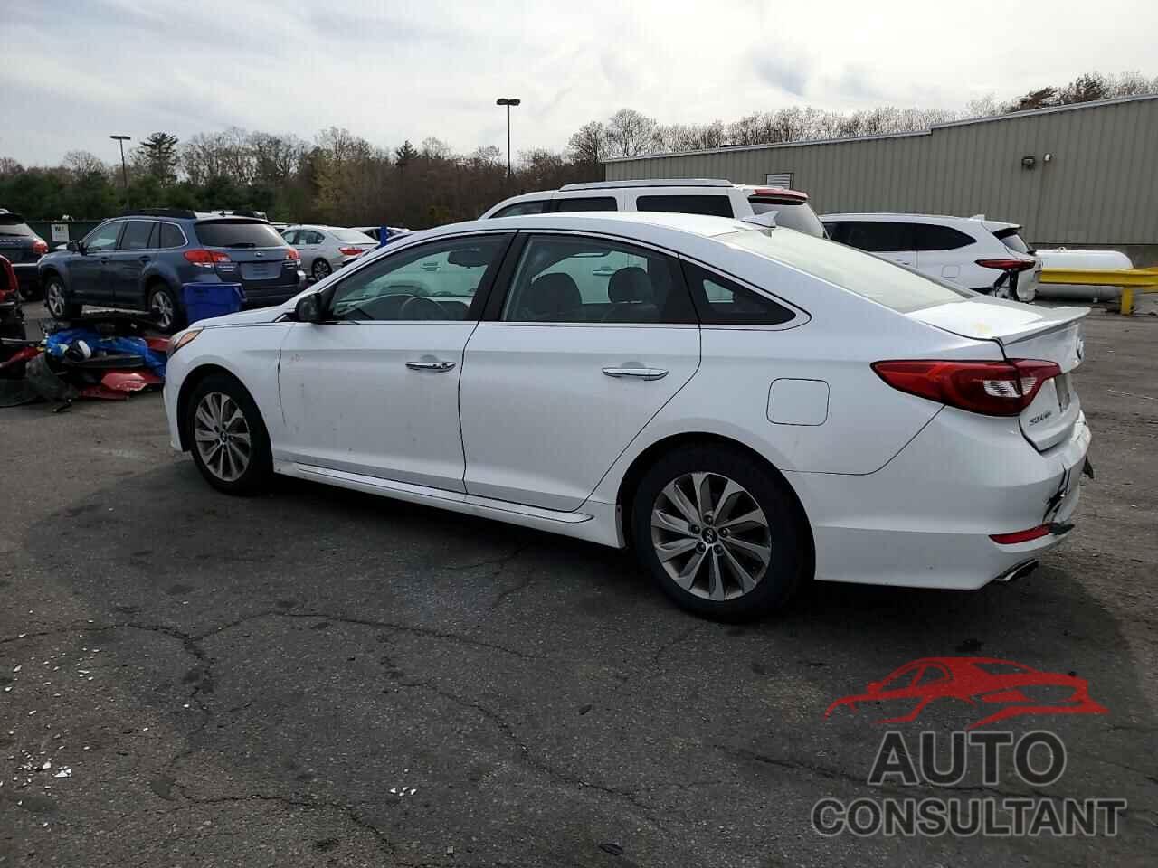 HYUNDAI SONATA 2016 - 5NPE34AF1GH262226